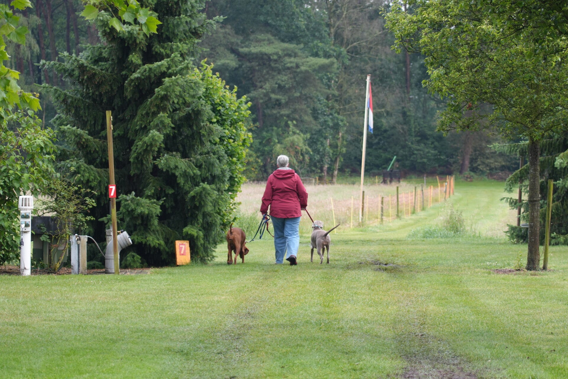 dsc01008-standard-odwjik.jpg