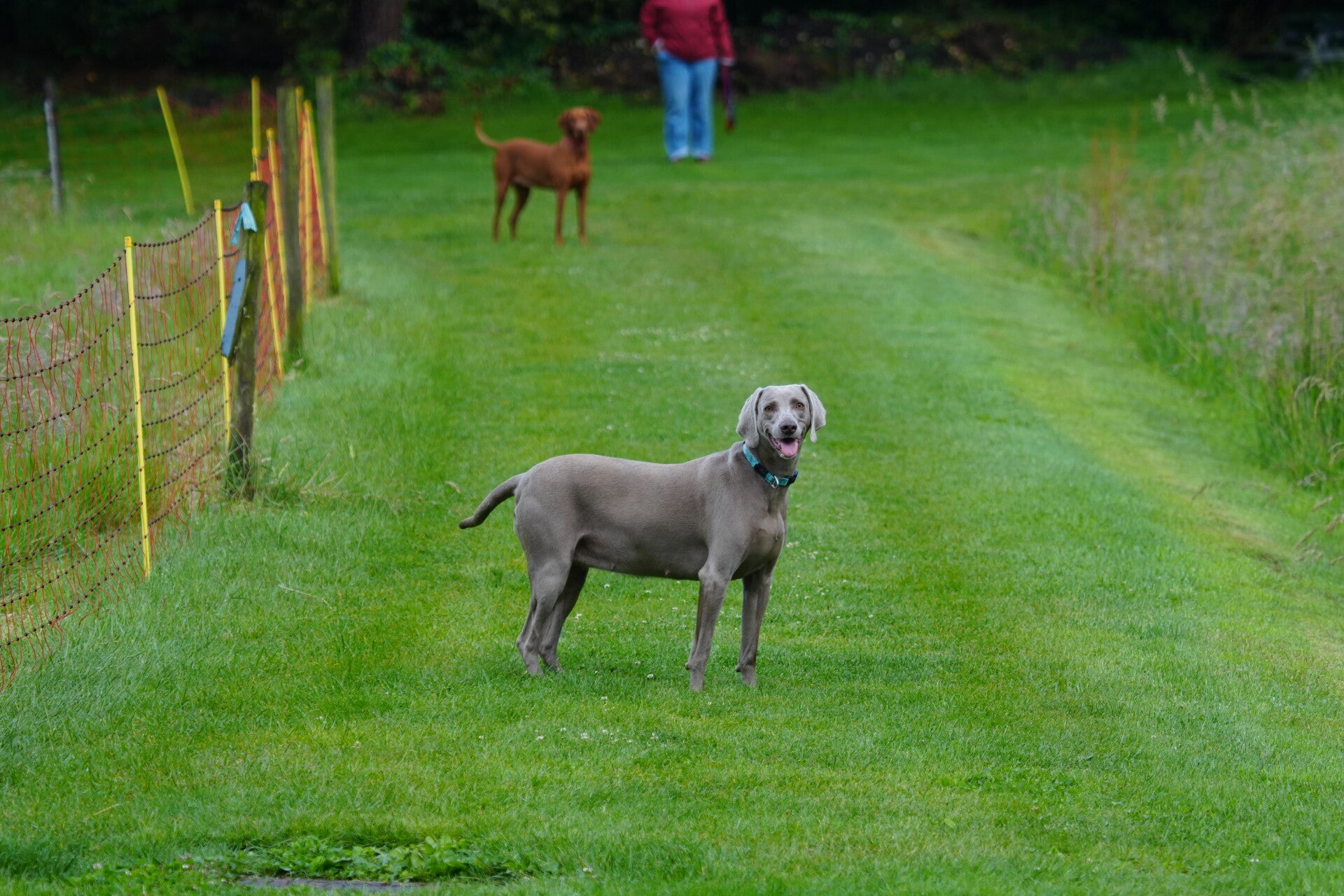 dsc01021-standard.jpg