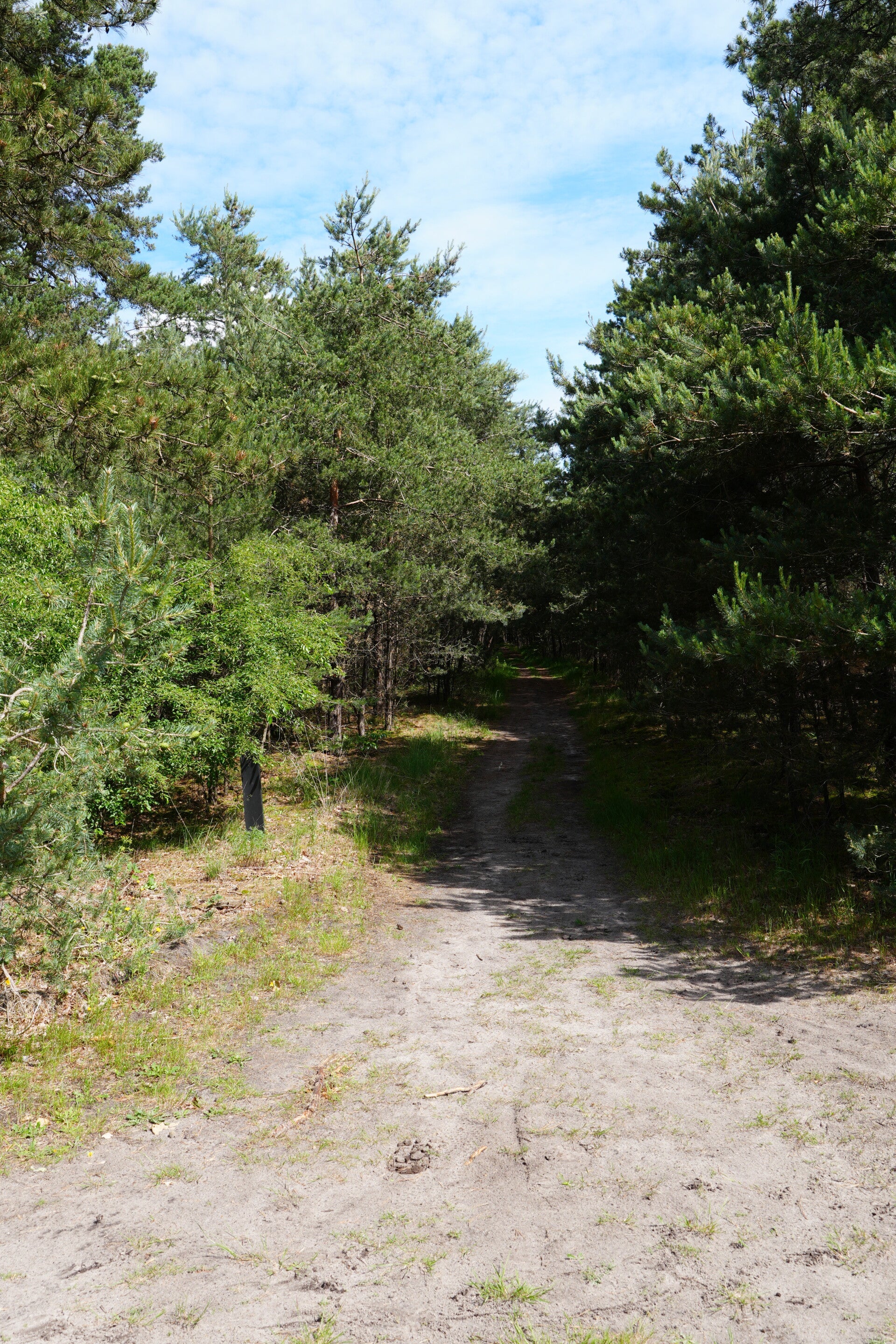dsc01070-standard.jpg