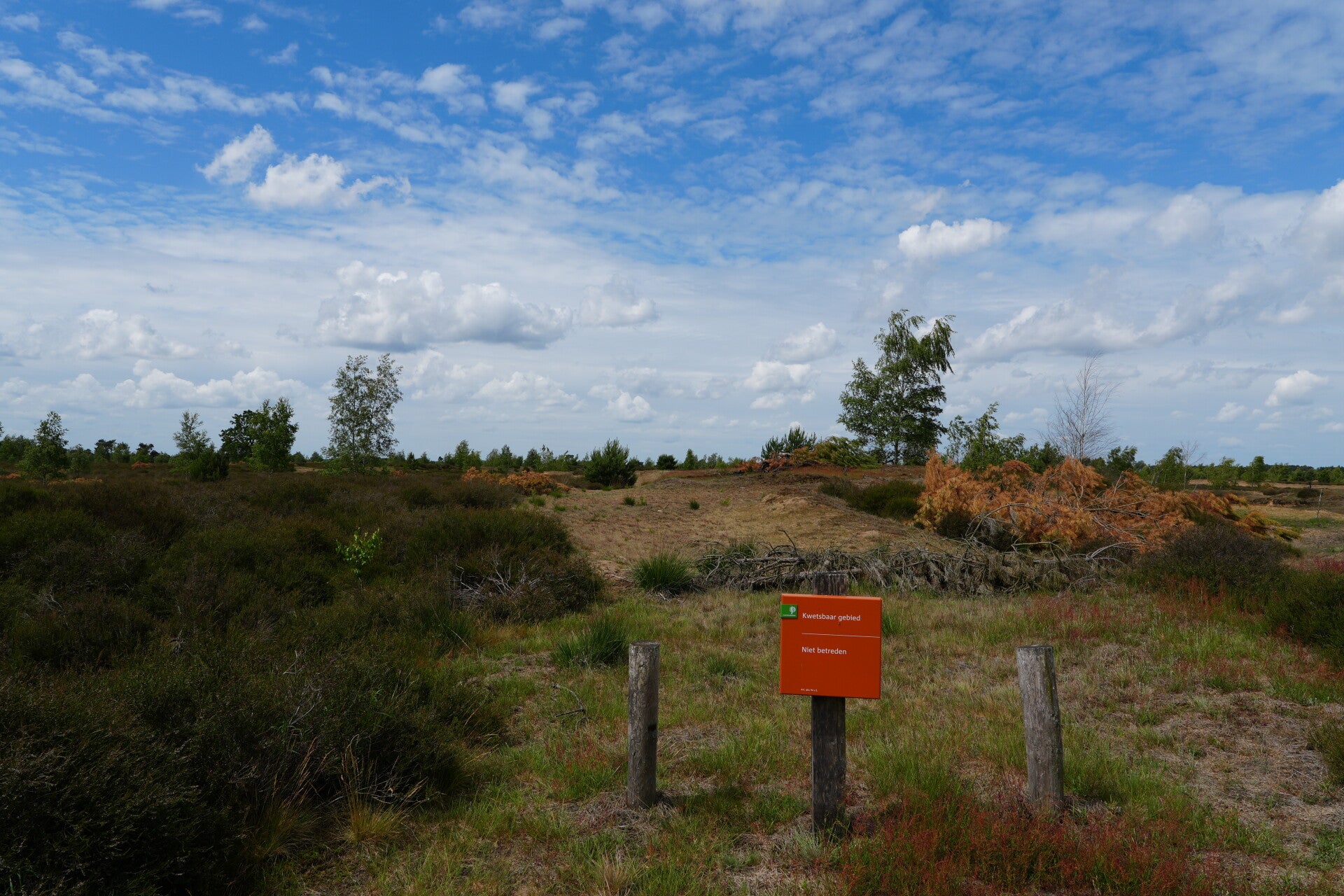 dsc01083-standard.jpg