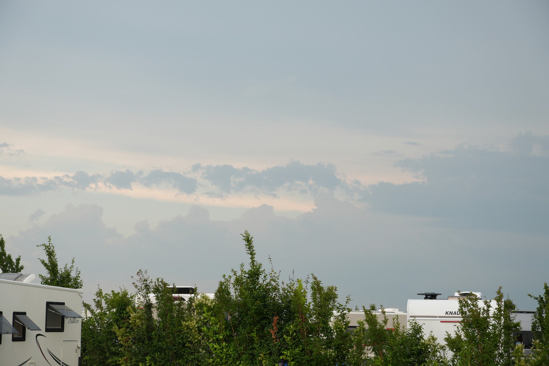 dsc01132-standard.jpg