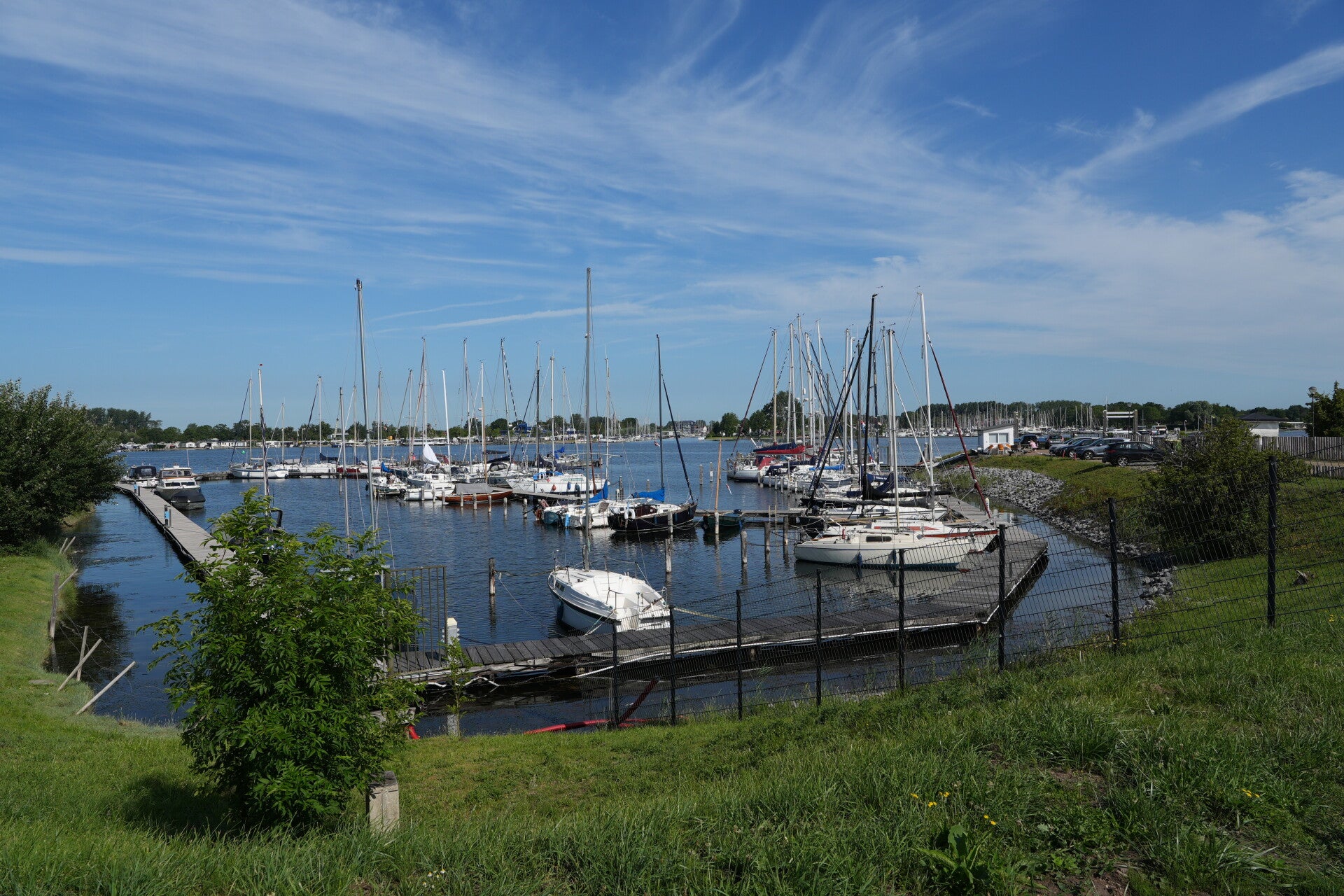 dsc01148-standard-10tzem.jpg