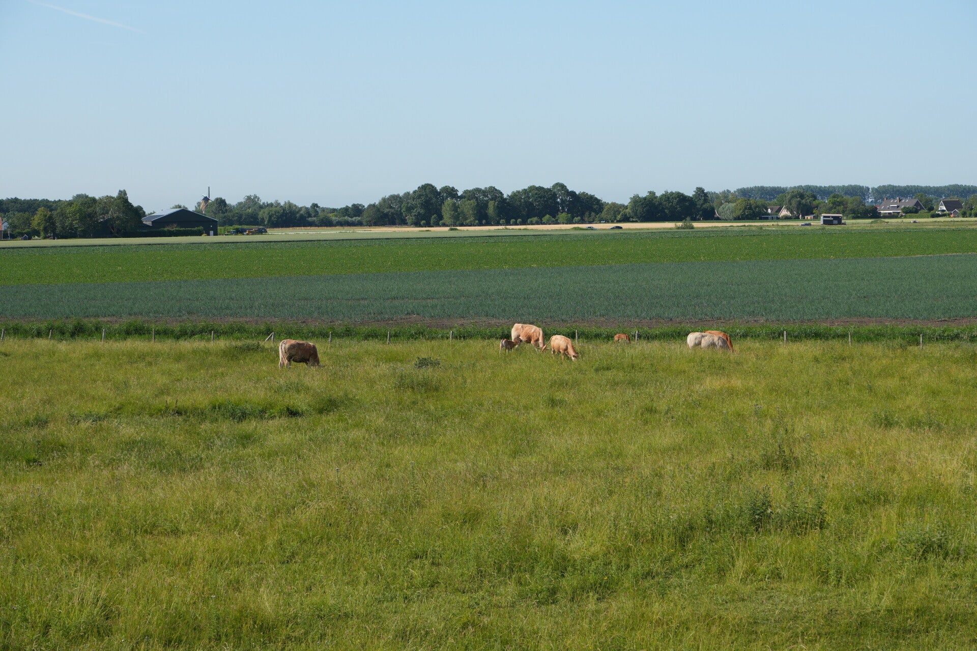 dsc01150-standard.jpg