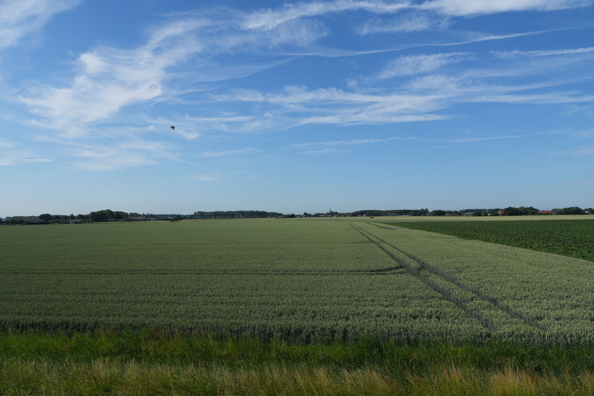 dsc01151-standard.jpg