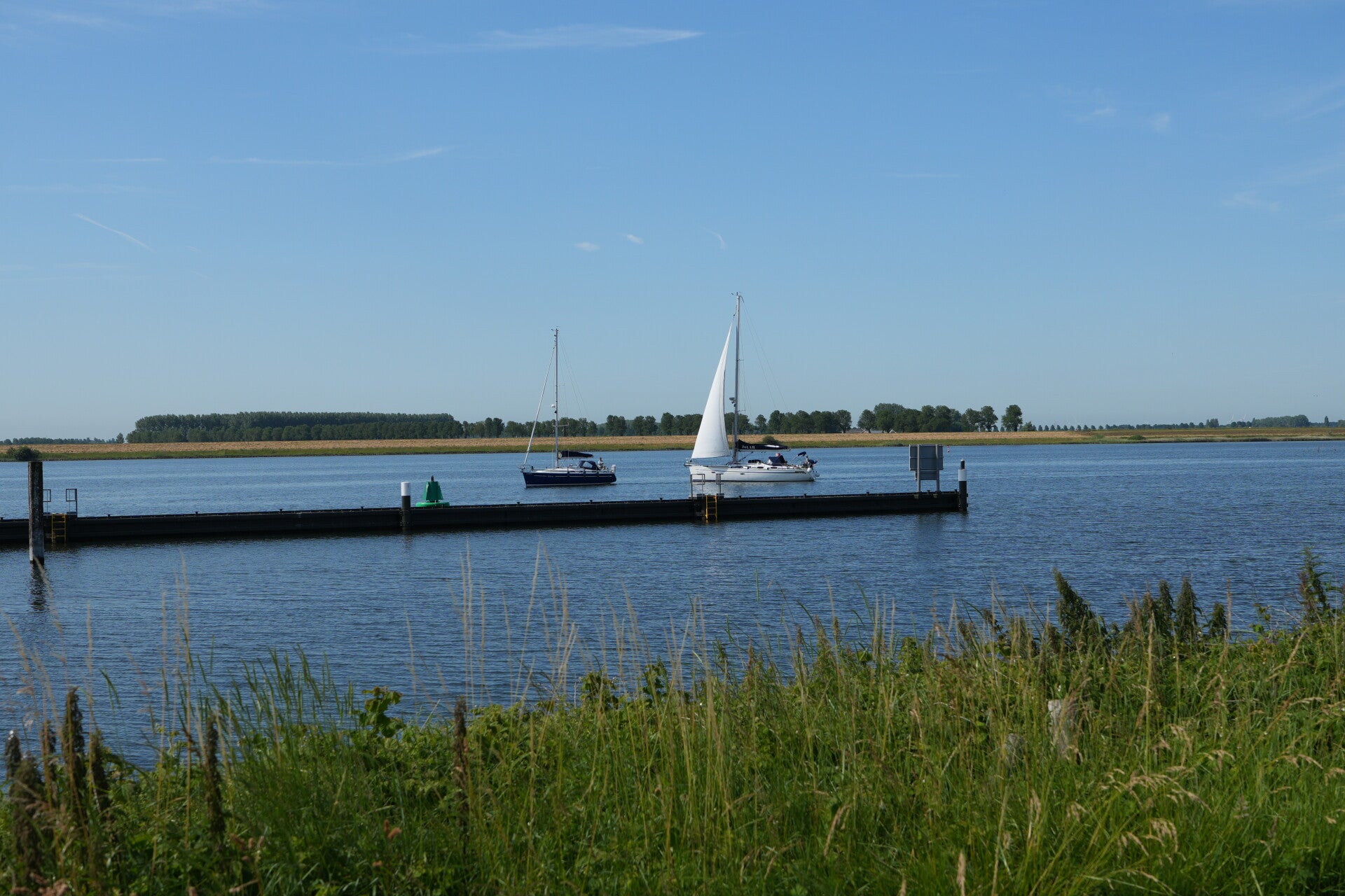 dsc01159-standard-6ybe94.jpg