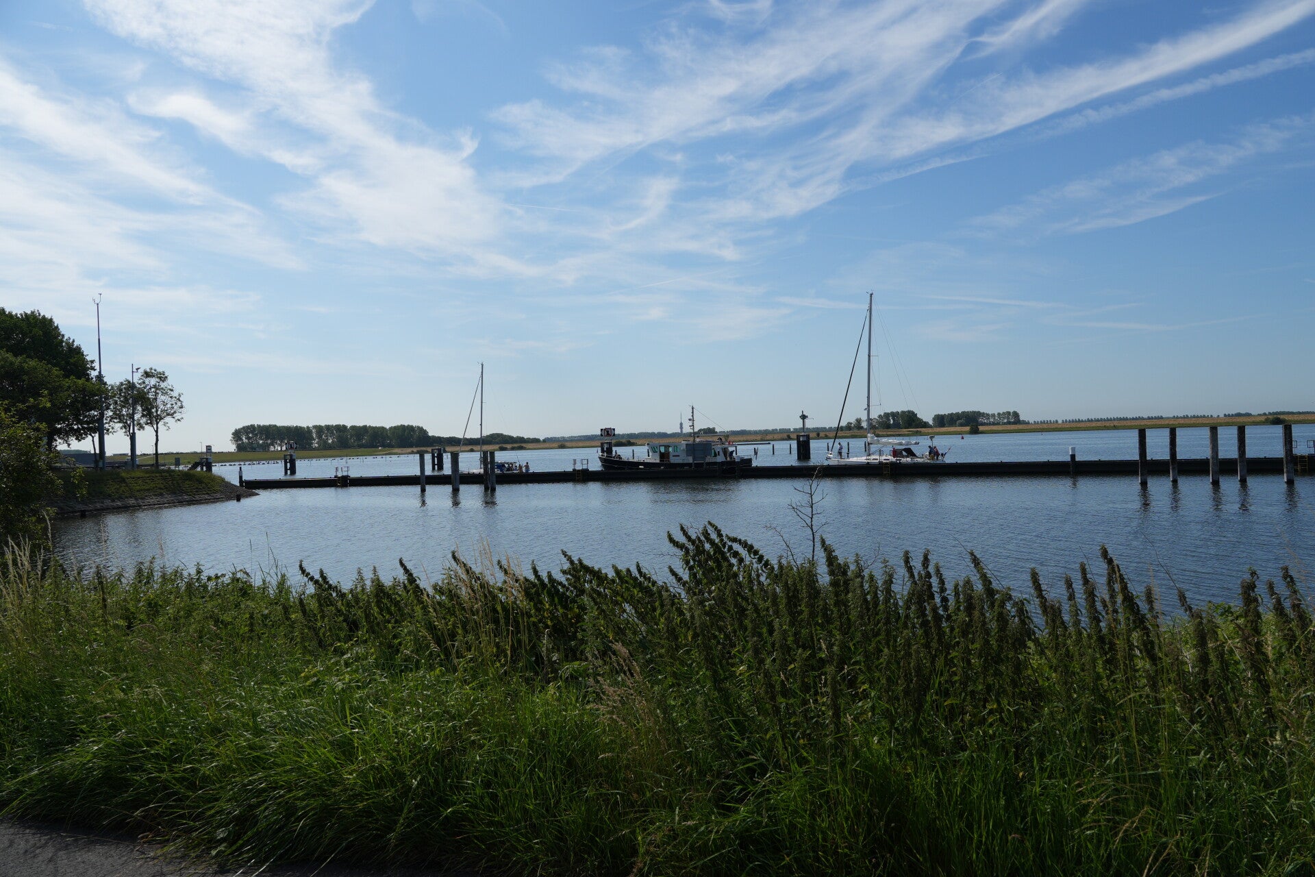 dsc01160-standard.jpg