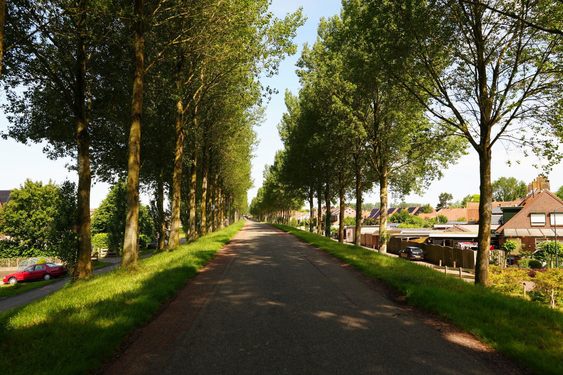 dsc01174-standard.jpg