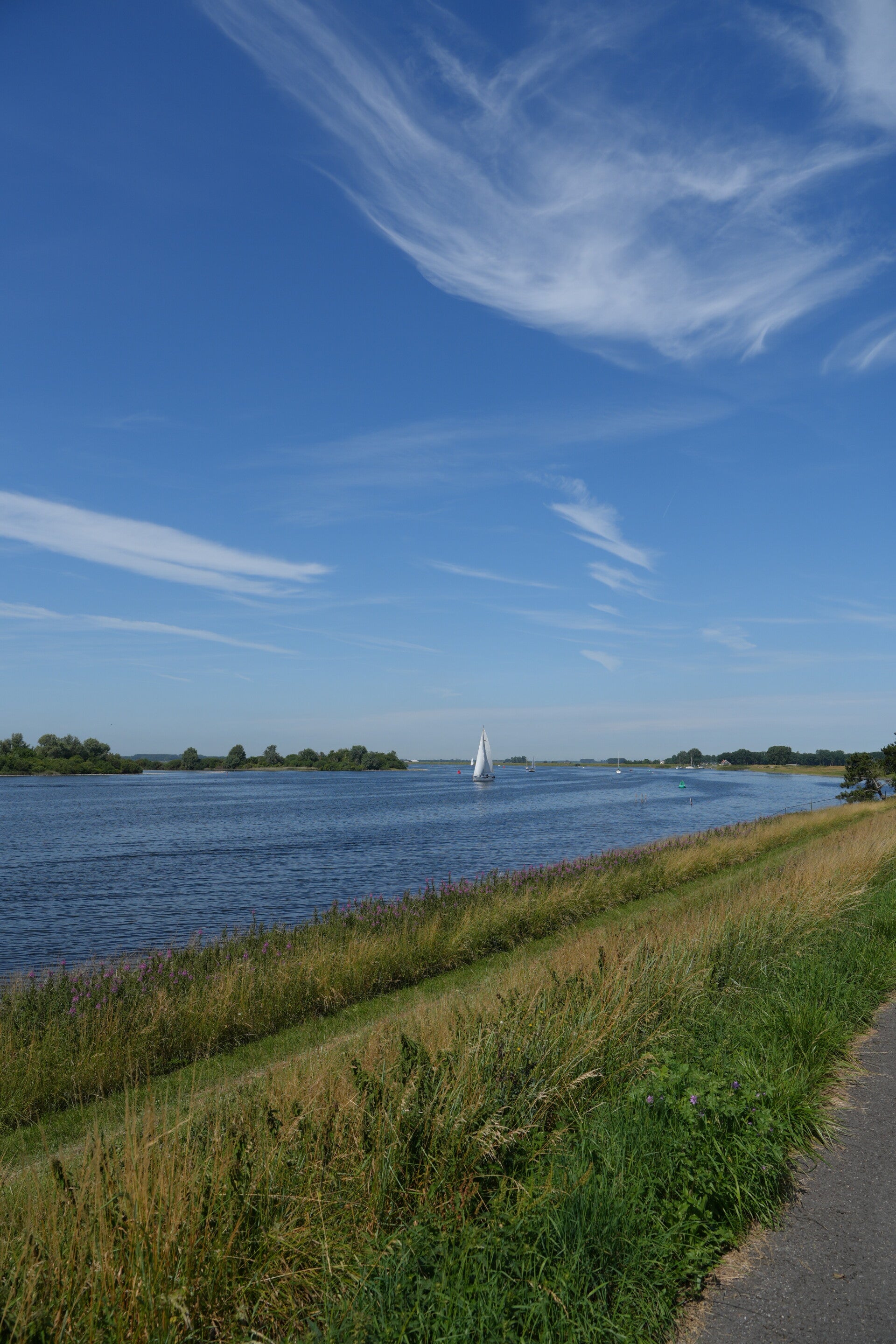 dsc01182-standard.jpg