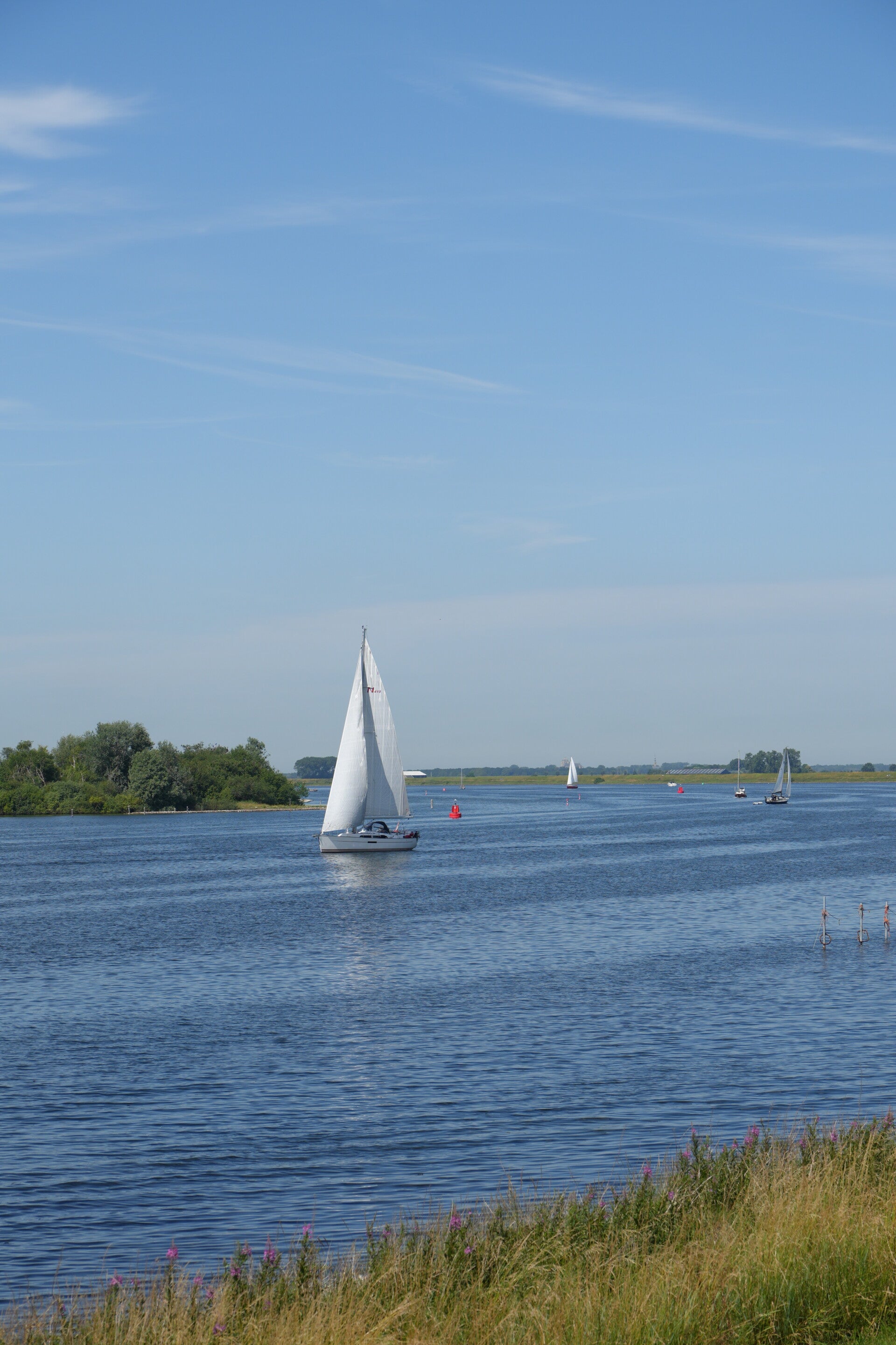 dsc01183-standard-rf3eyk.jpg