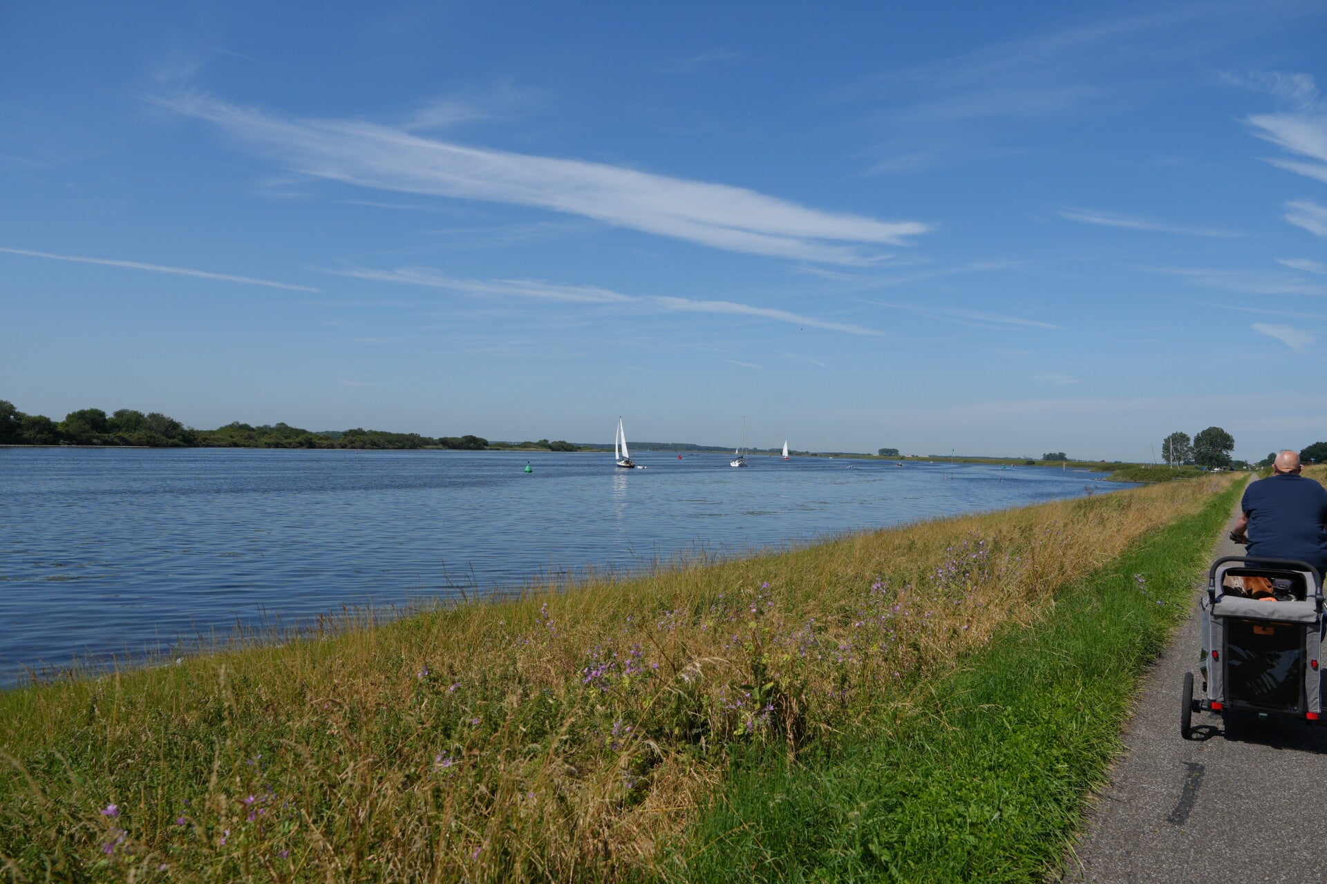 dsc01184-standard.jpg