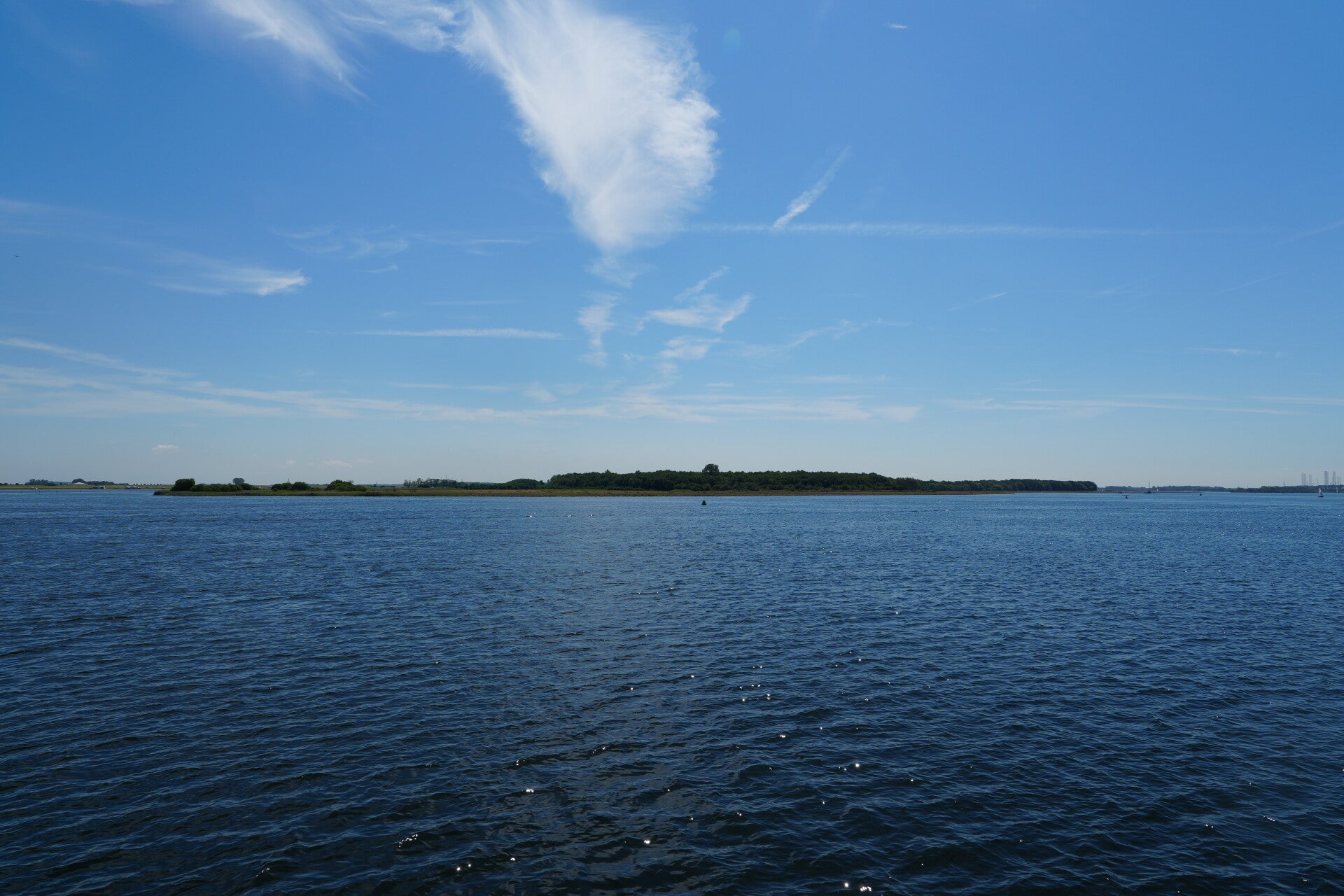dsc01207-standard.jpg