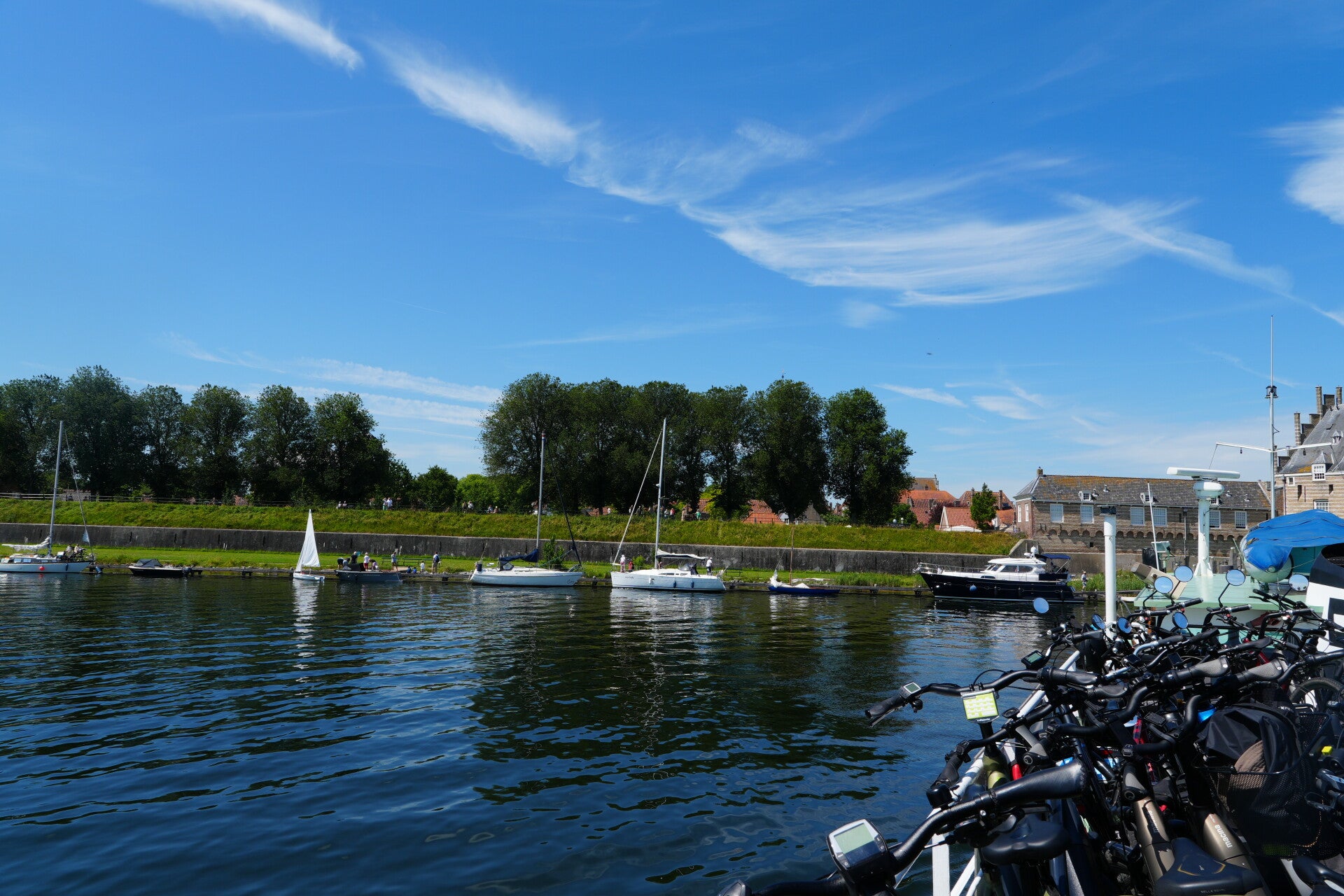 dsc01215-standard.jpg