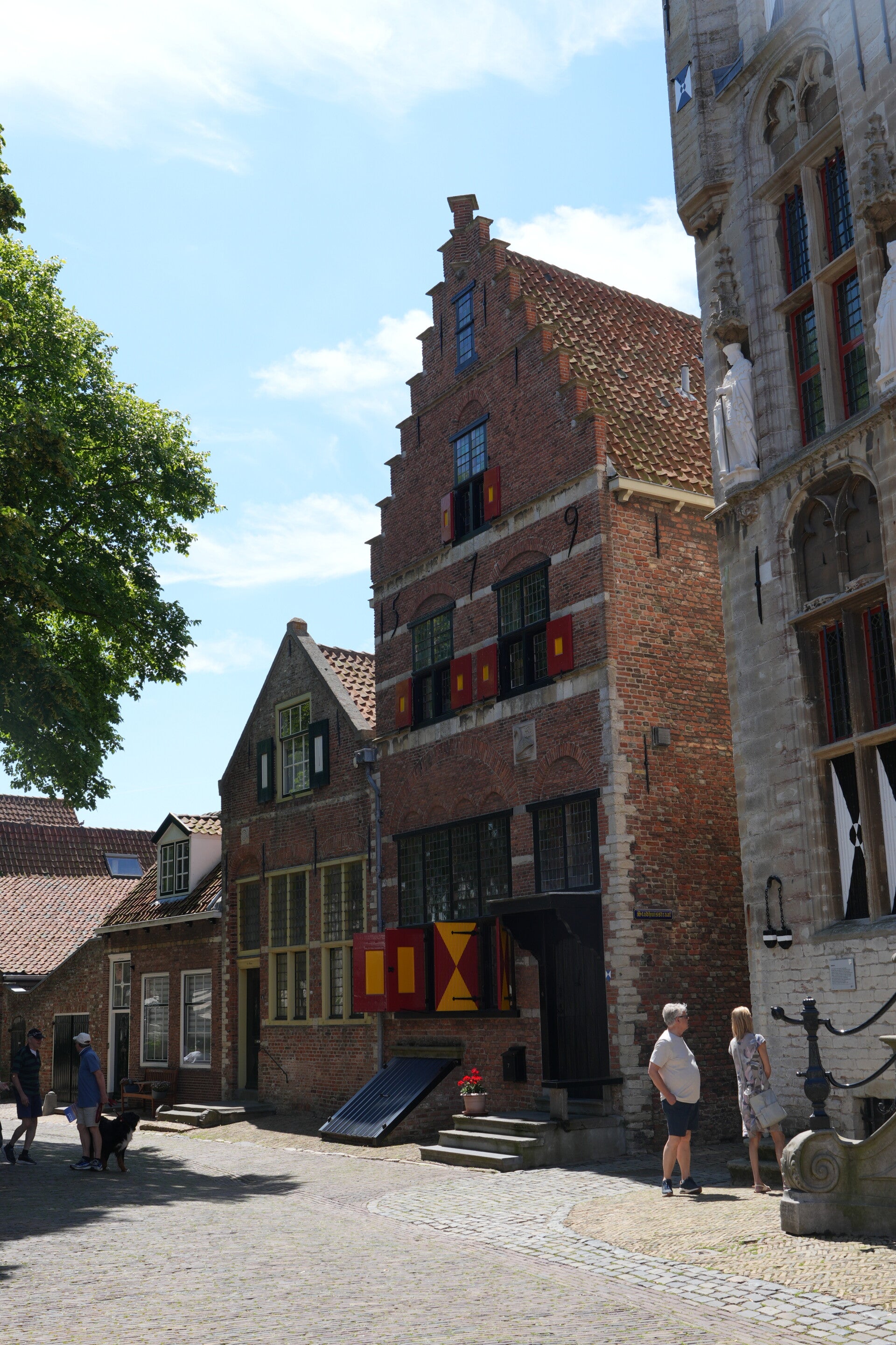 dsc01231-standard-ol8lyd.jpg
