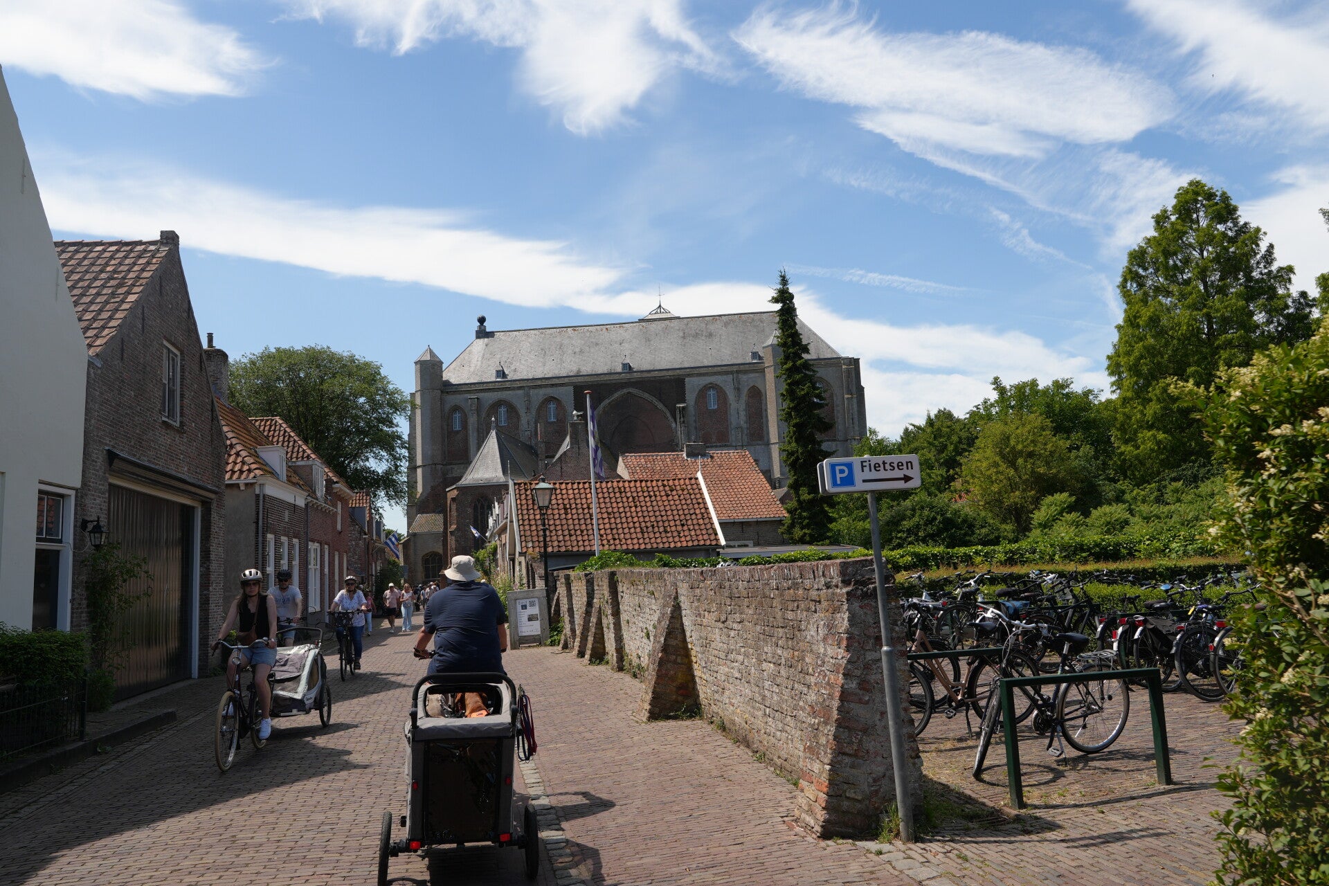 dsc01235-standard.jpg