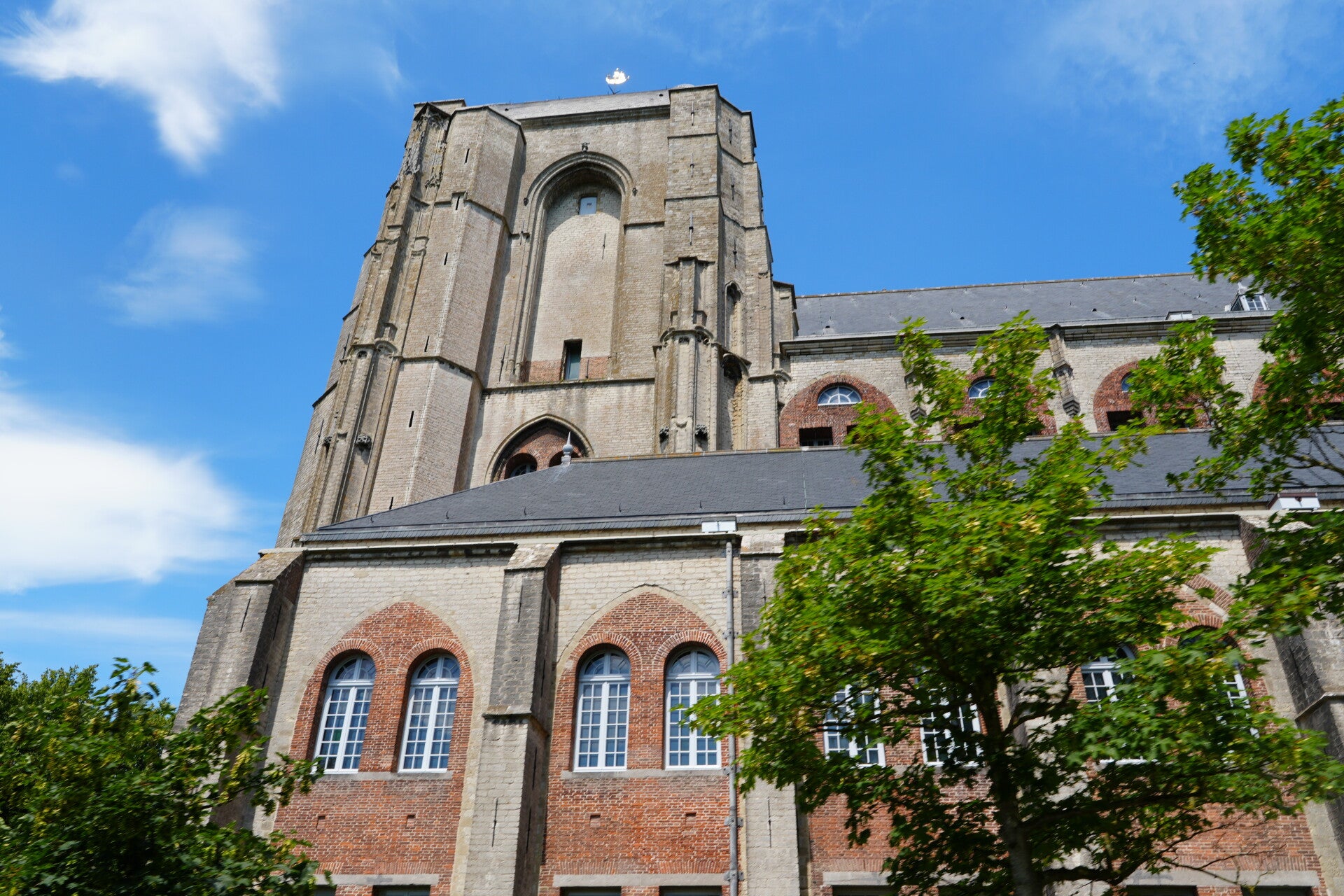 dsc01236-standard.jpg