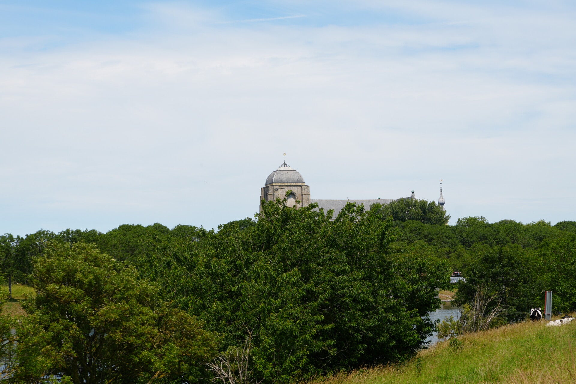 dsc01239-standard.jpg