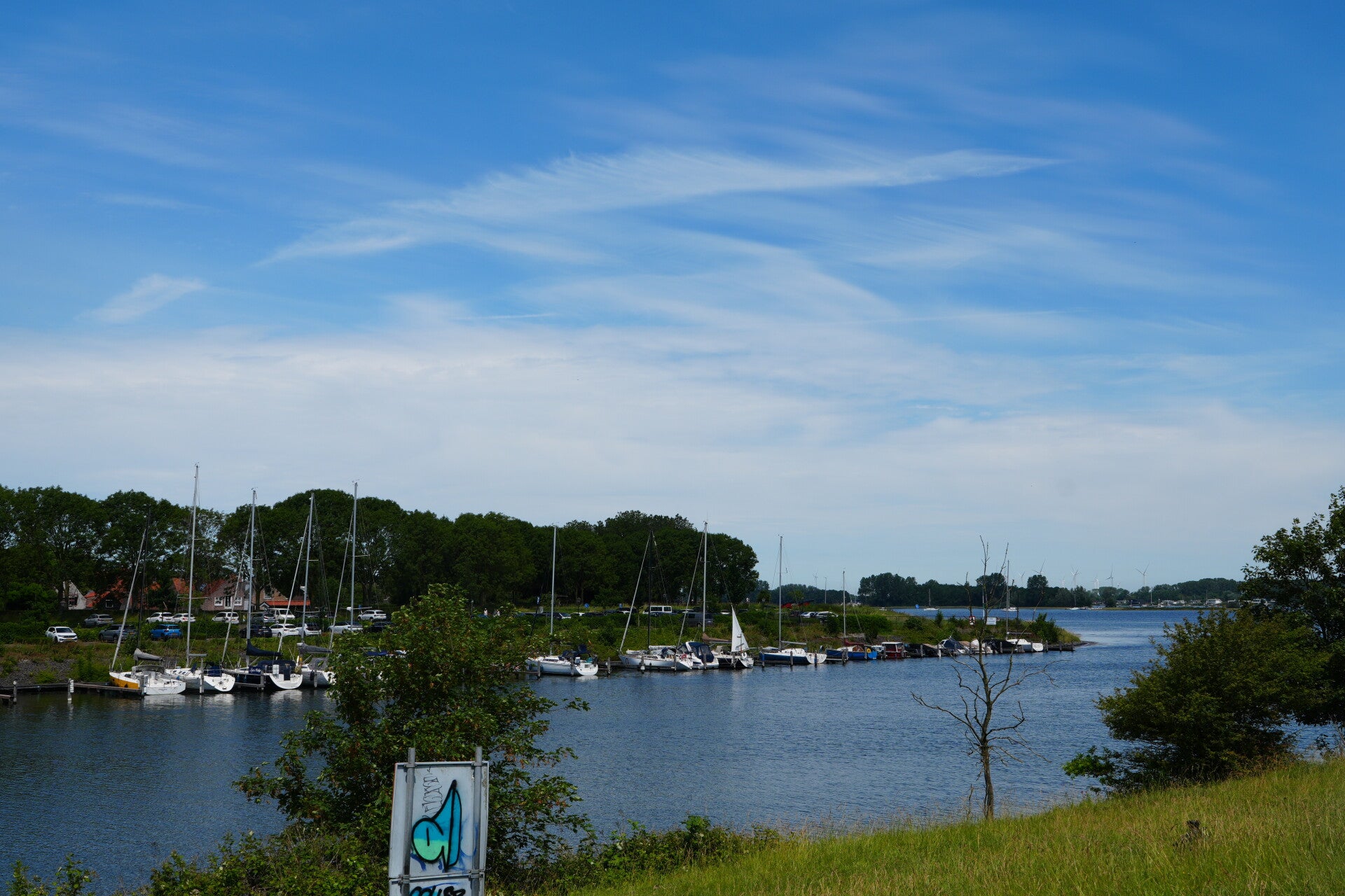 dsc01241-standard.jpg