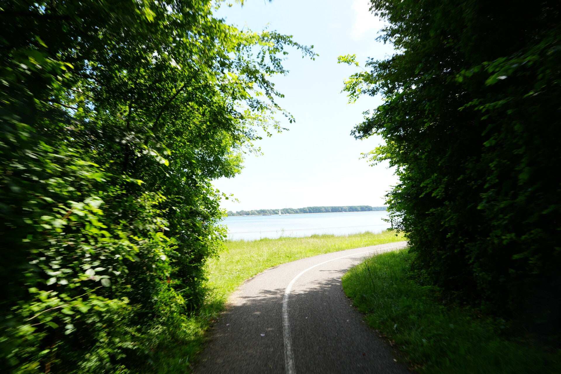 dsc01243-standard-9o71s4.jpg