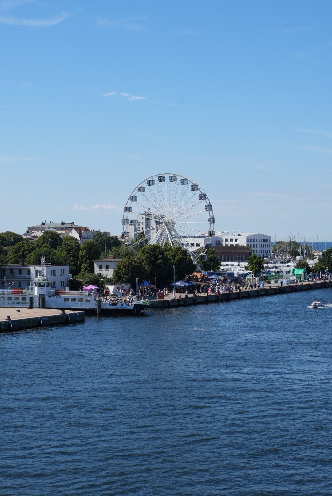 dsc01313-standard-jn14v3.jpg