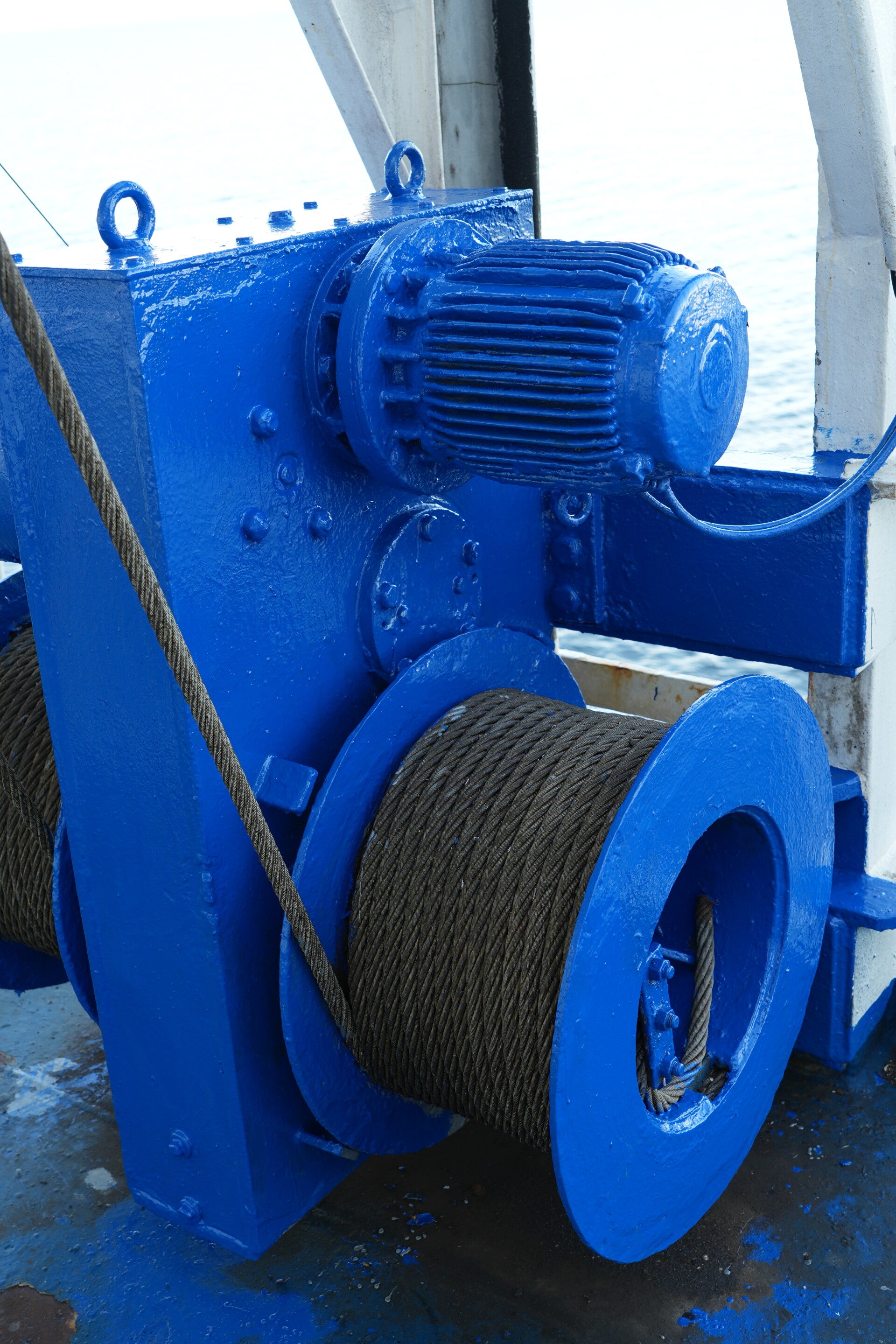 dsc01337-standard.jpg