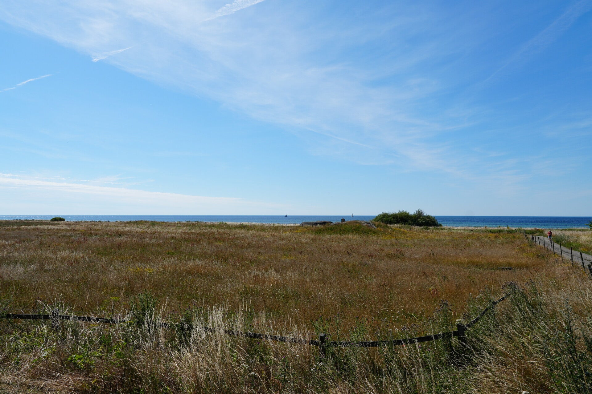 dsc01347-standard.jpg