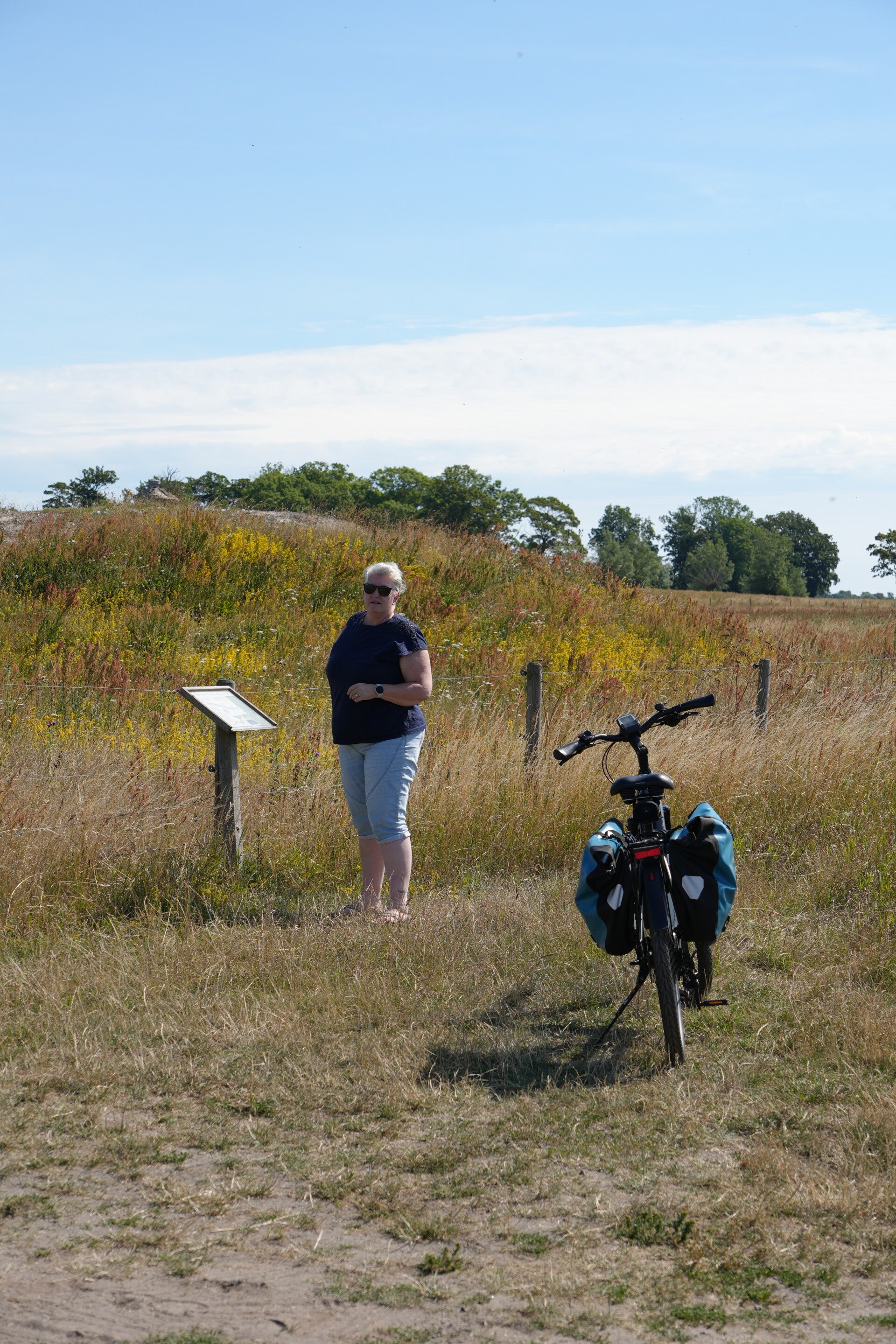 dsc01350-standard.jpg