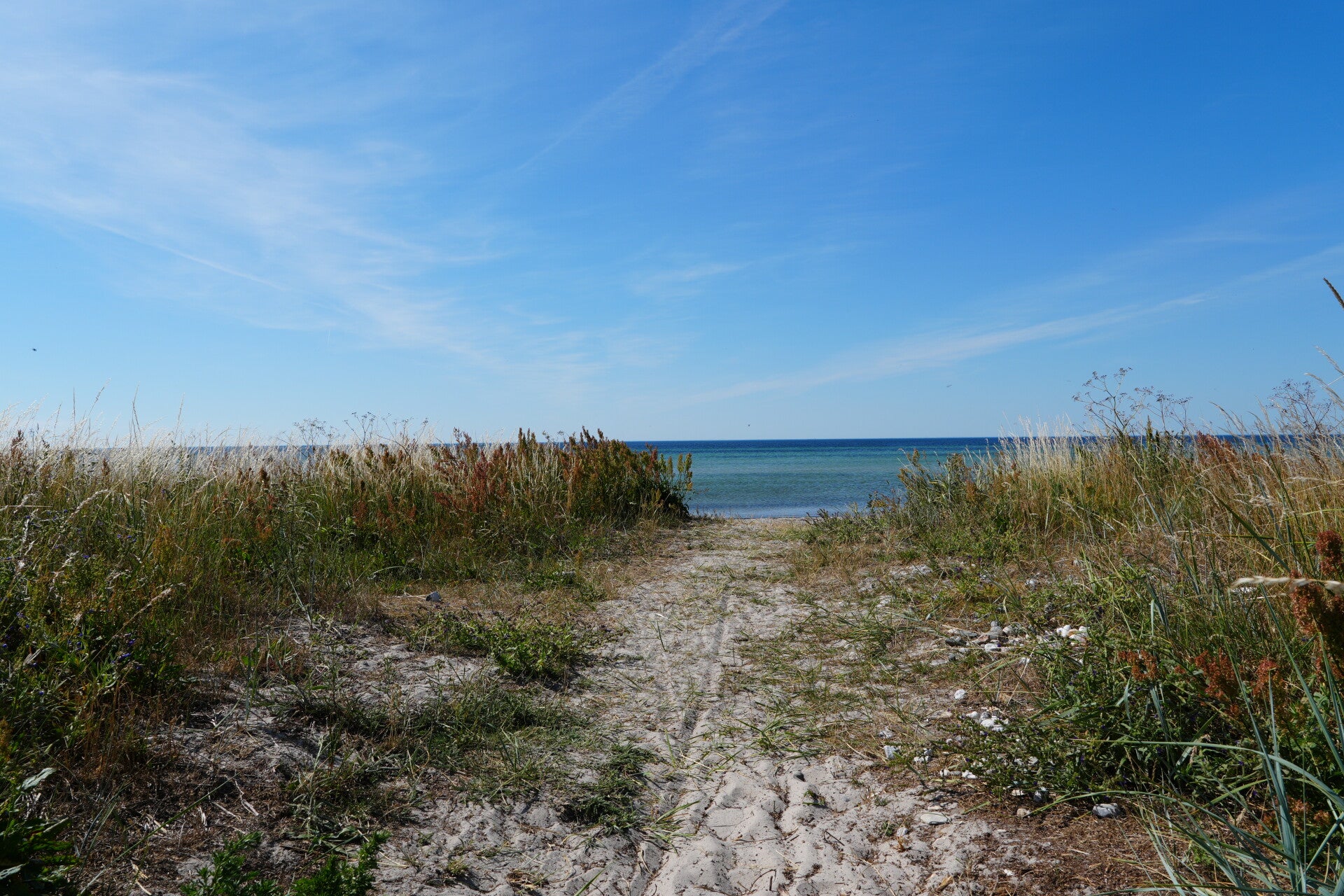 dsc01351-standard.jpg
