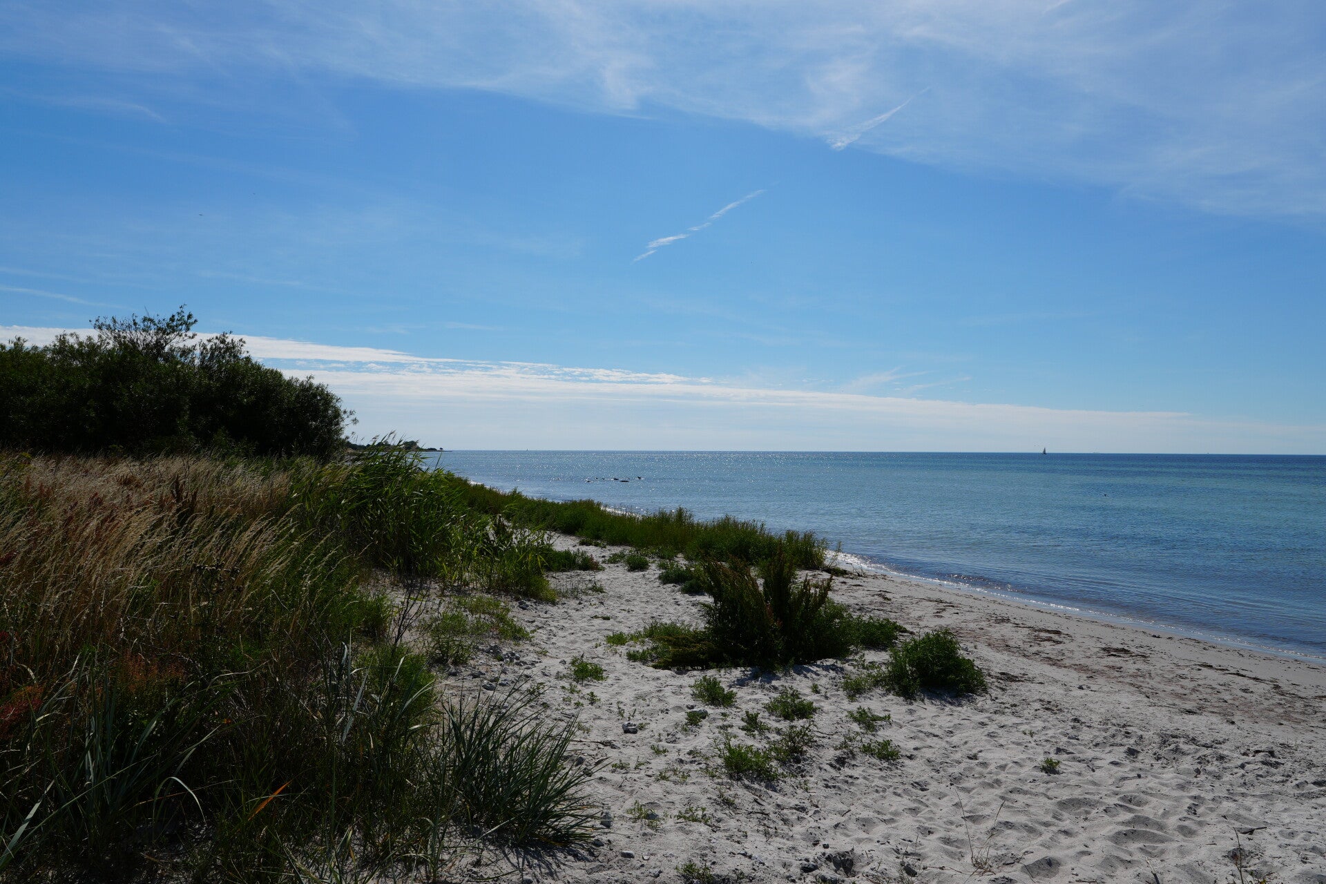 dsc01353-standard.jpg