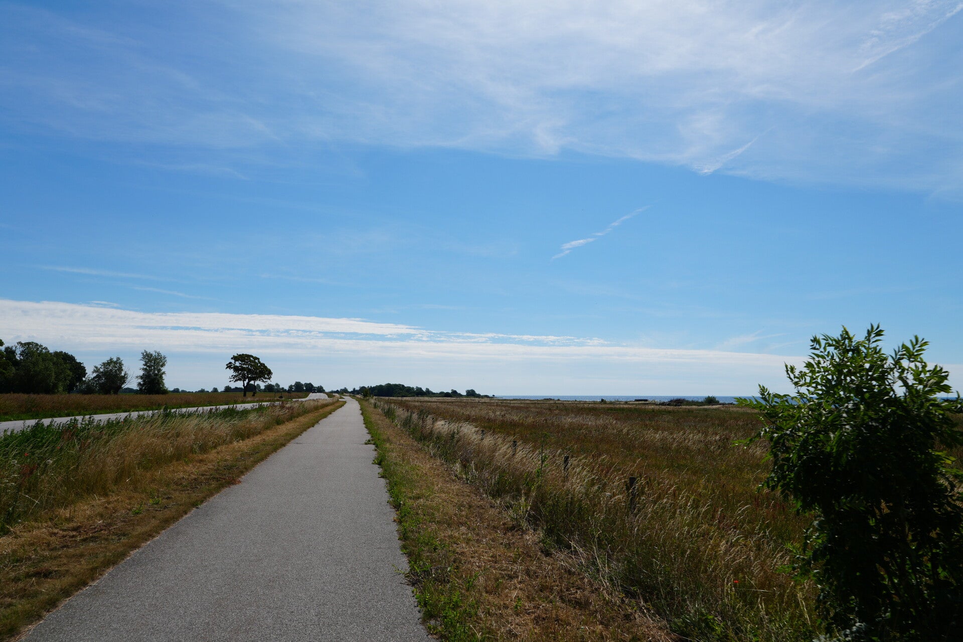 dsc01356-standard.jpg