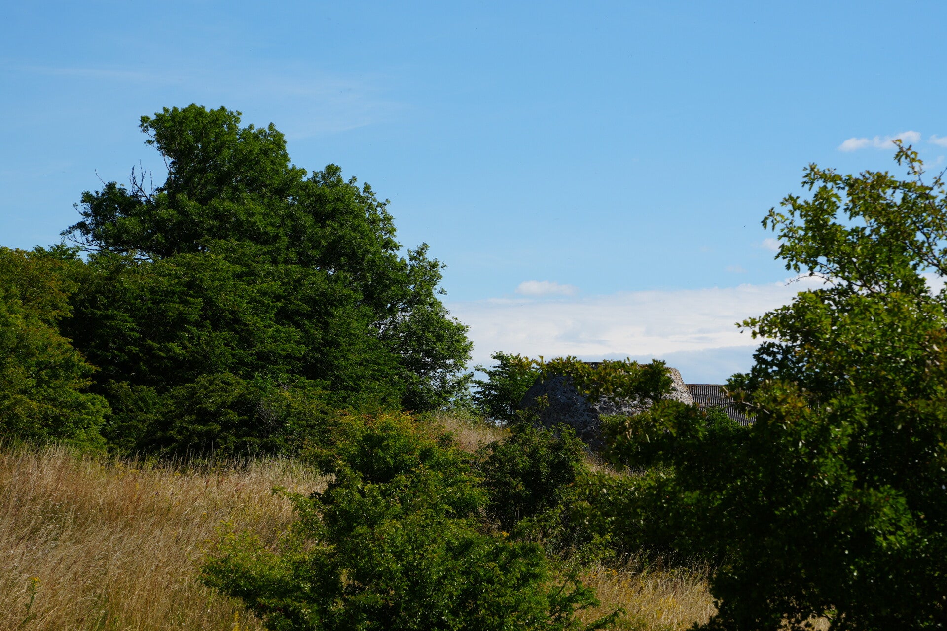 dsc01370-standard.jpg