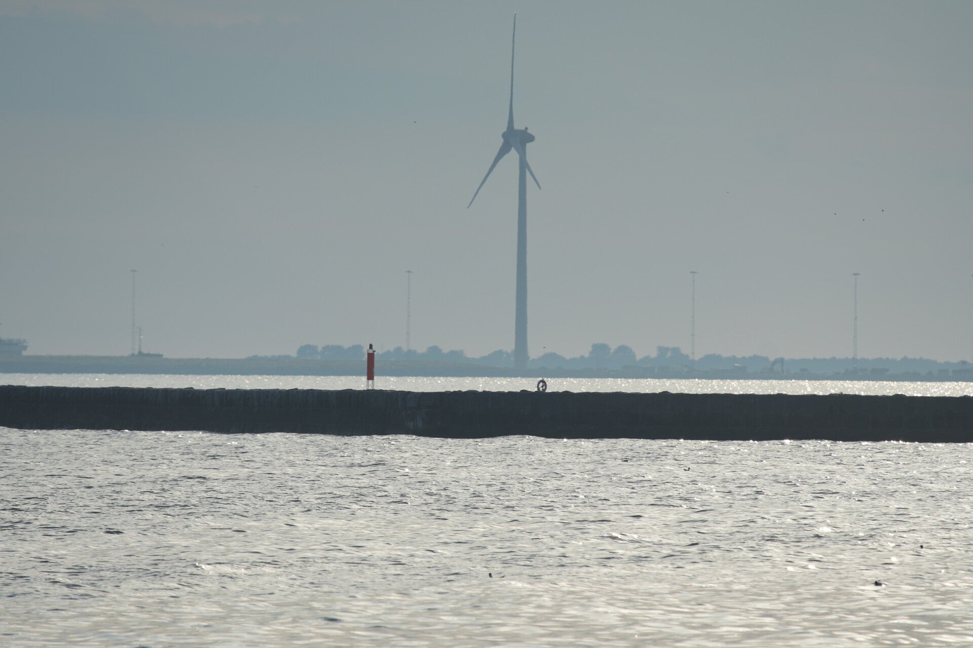 dsc01378-standard.jpg