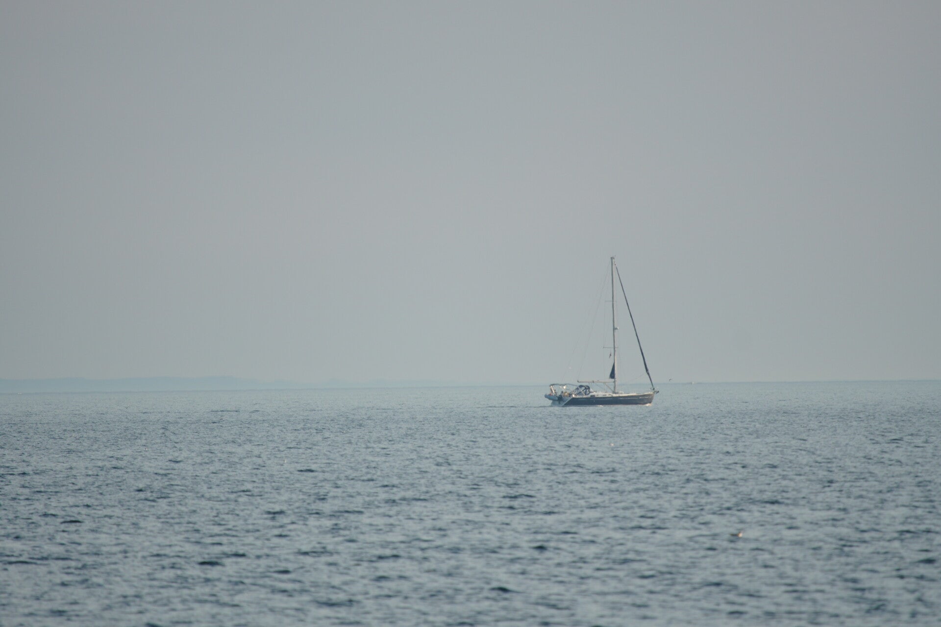dsc01382-standard.jpg