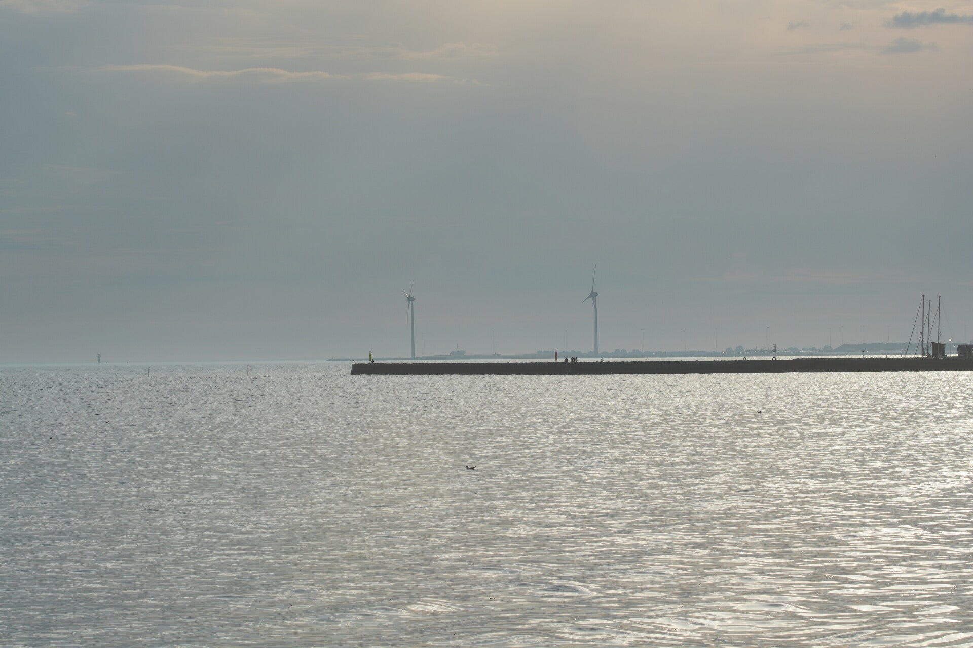 dsc01385-standard.jpg
