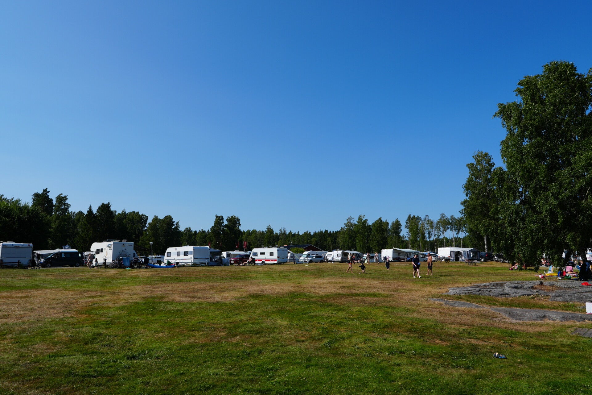 dsc01396-standard.jpg