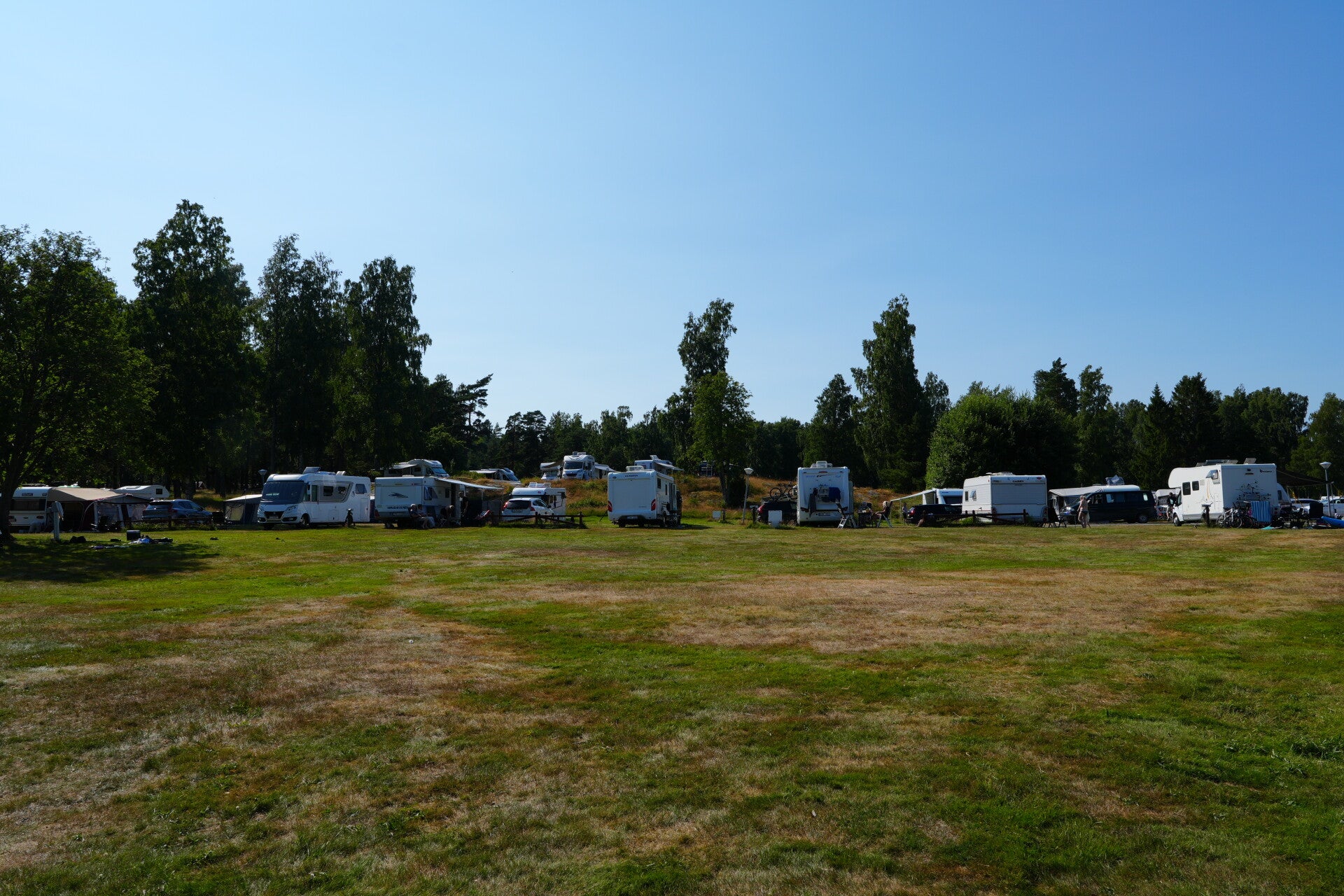 dsc01397-standard.jpg