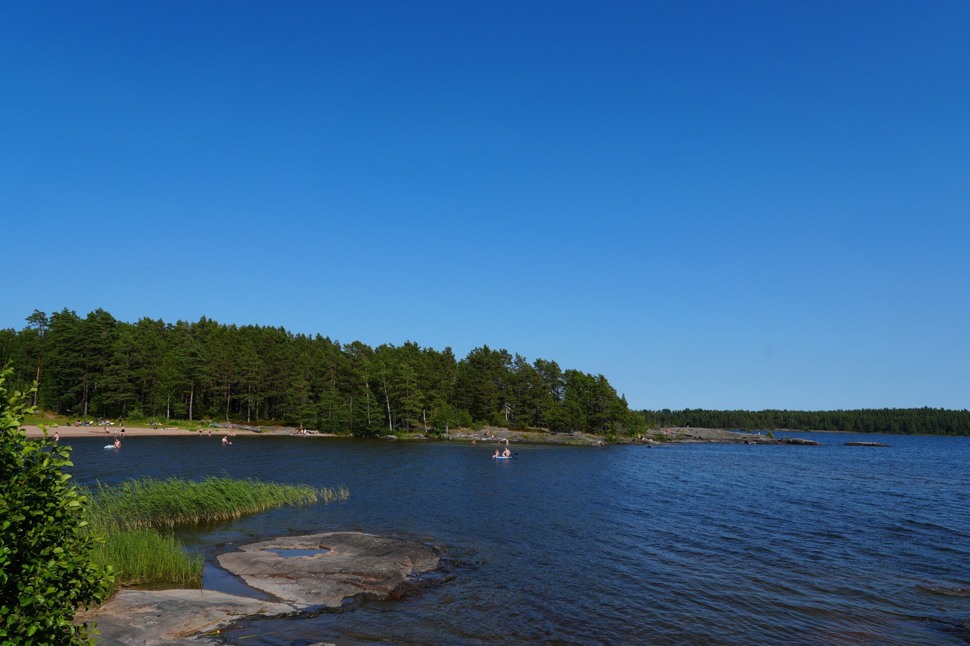 dsc01398-standard-bjpxkm.jpg