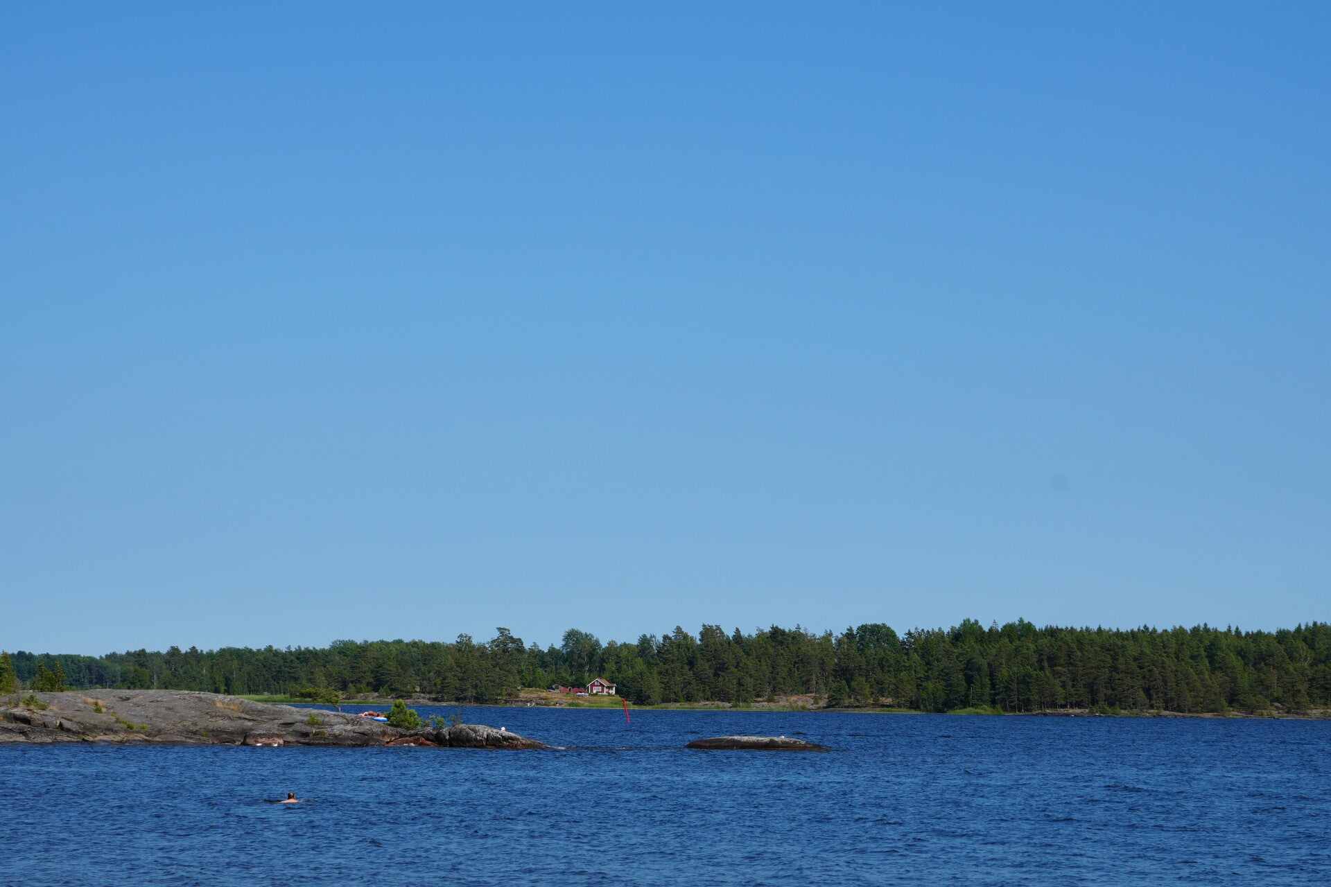 dsc01402-standard.jpg
