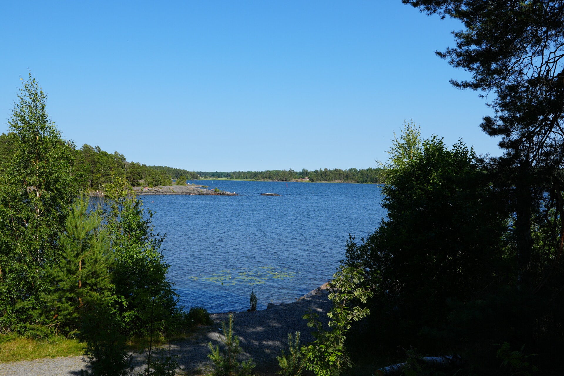 dsc01404-standard.jpg
