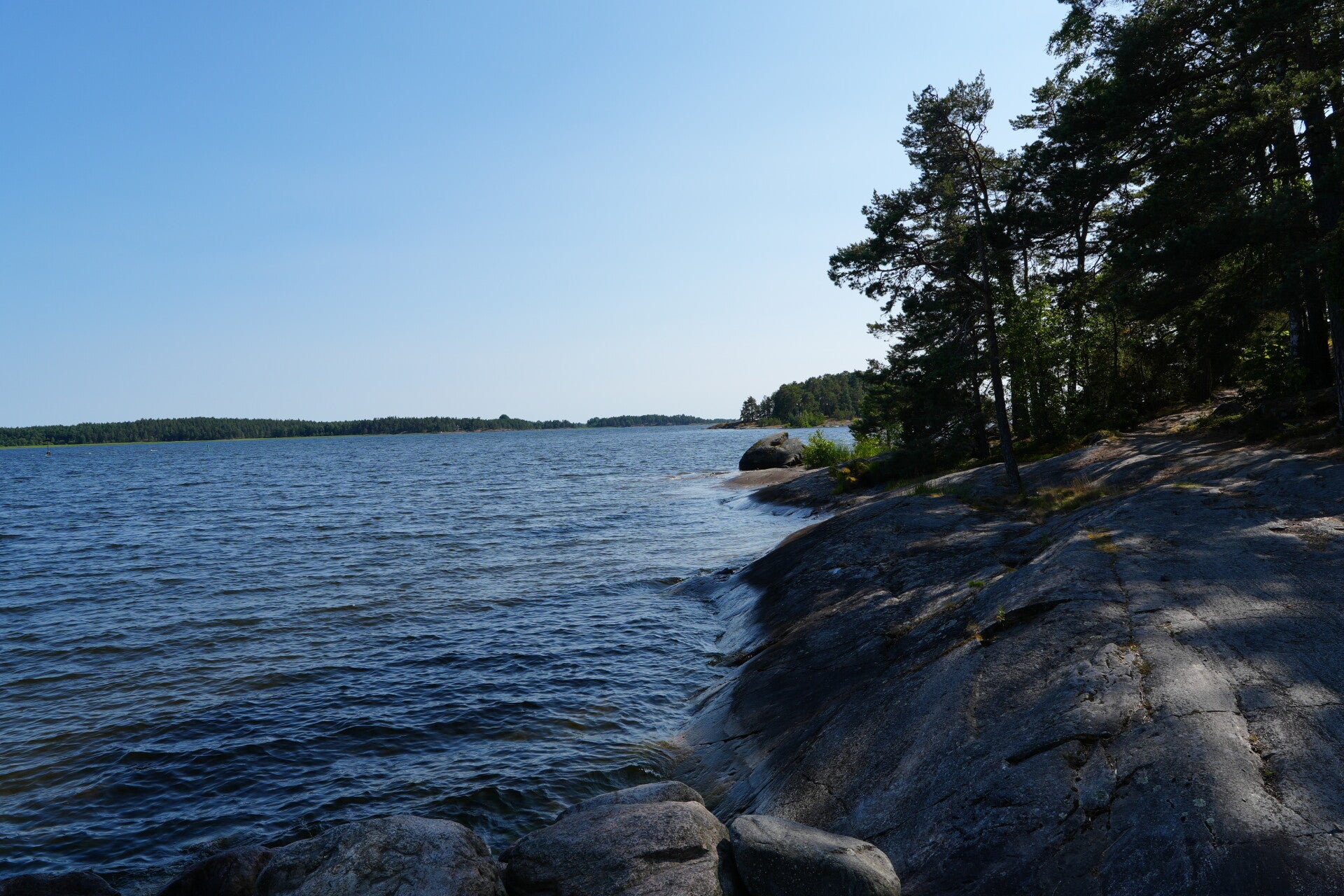 dsc01407-standard.jpg