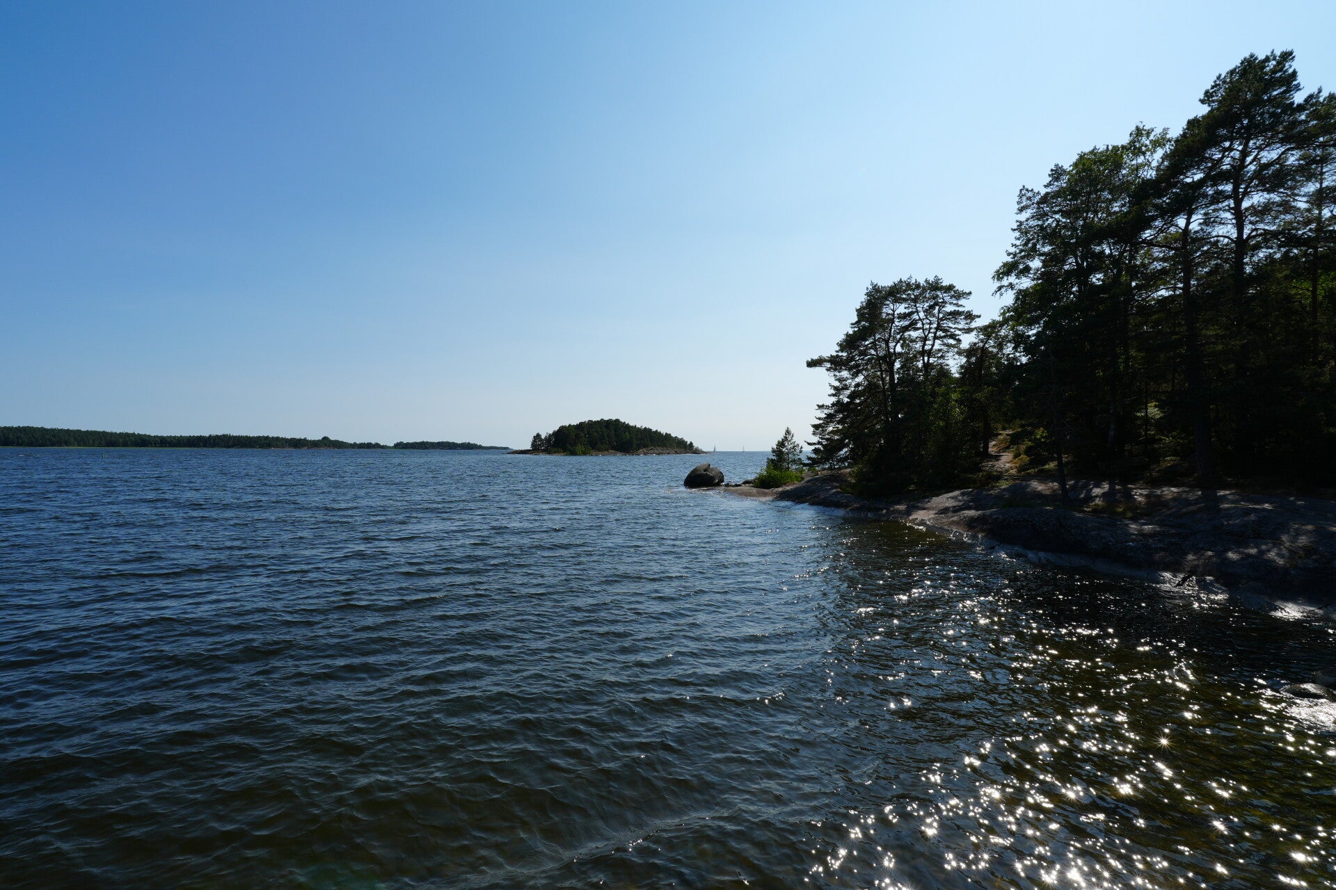 dsc01408-standard.jpg