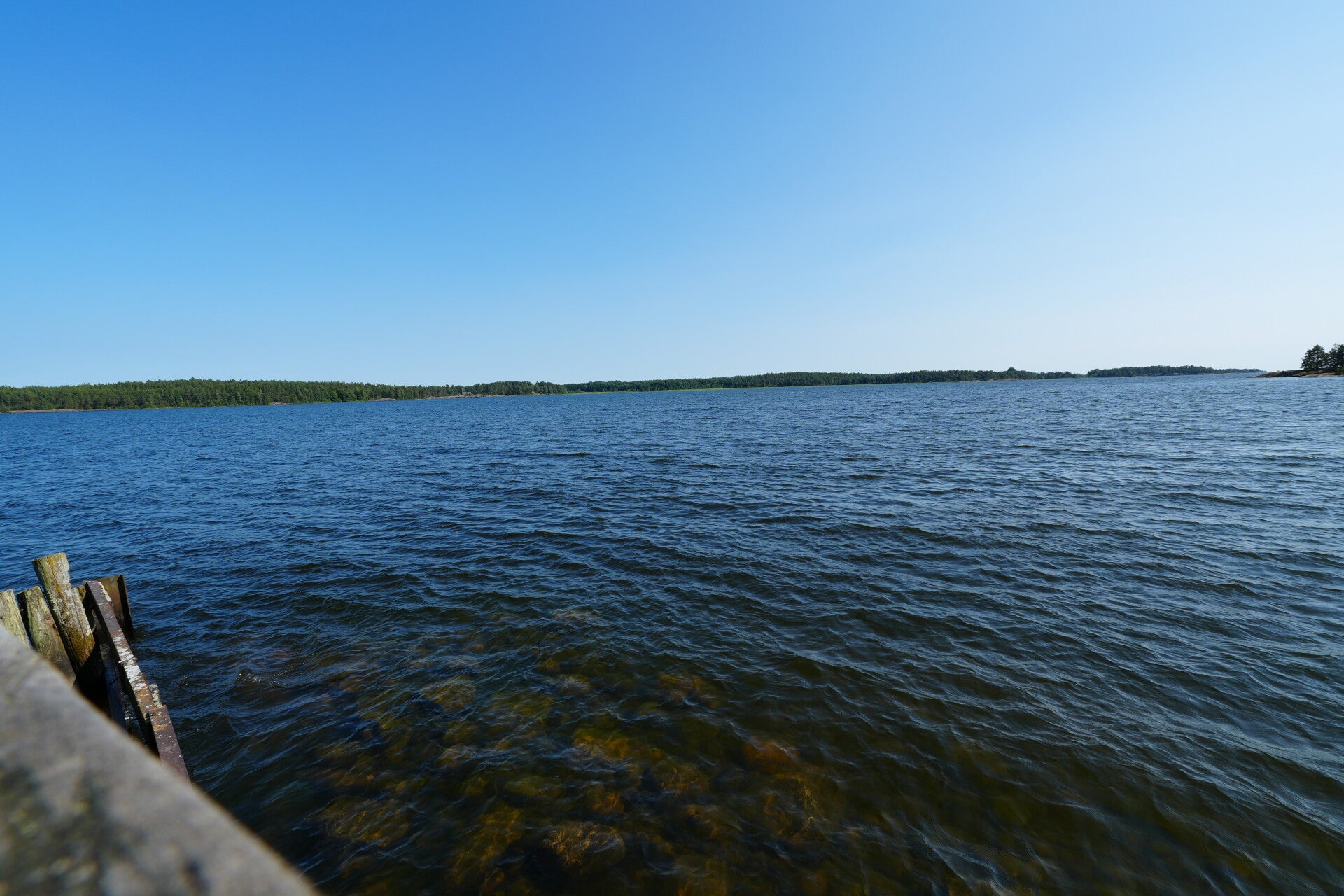 dsc01410-standard.jpg