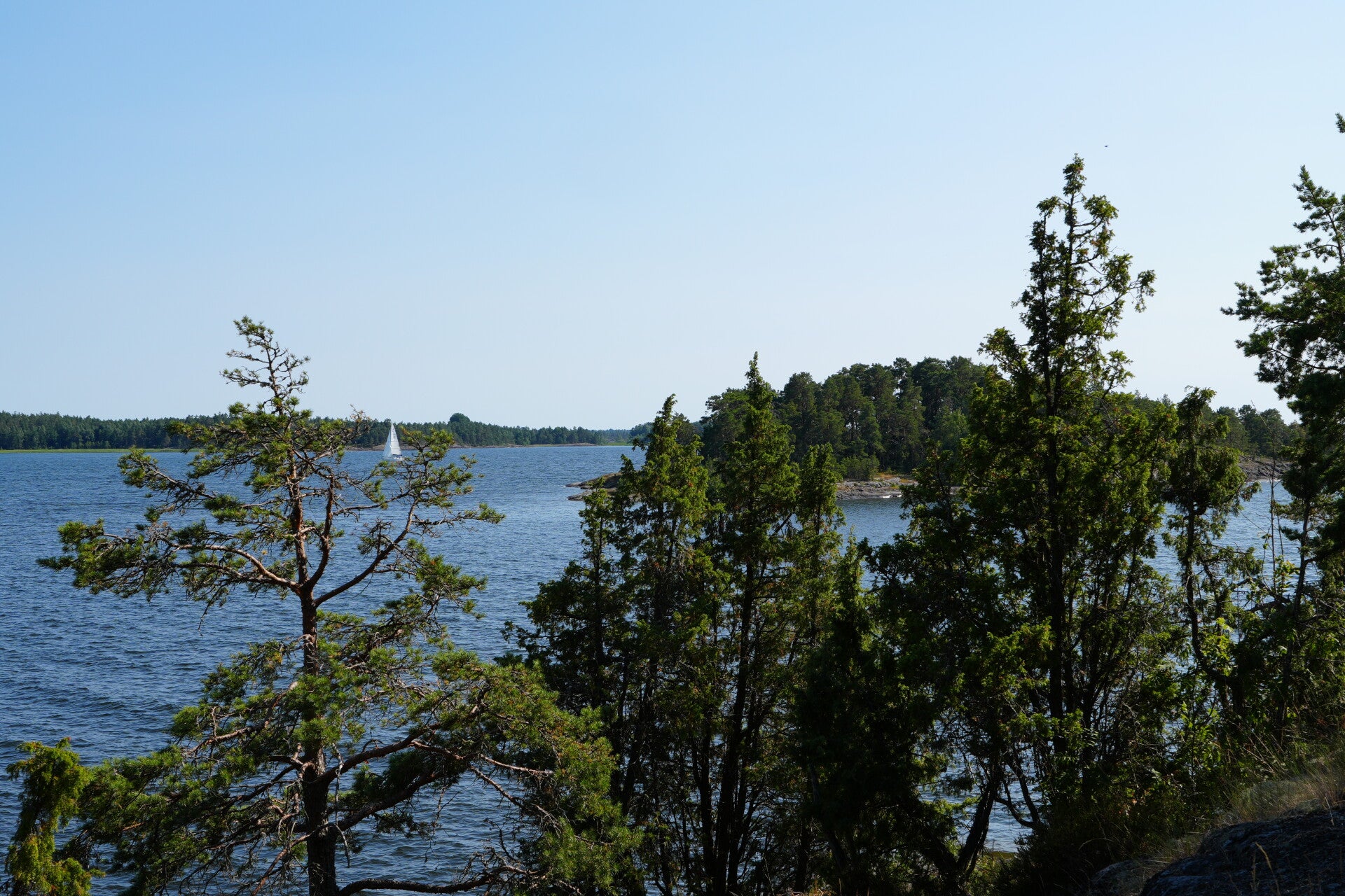 dsc01415-standard.jpg