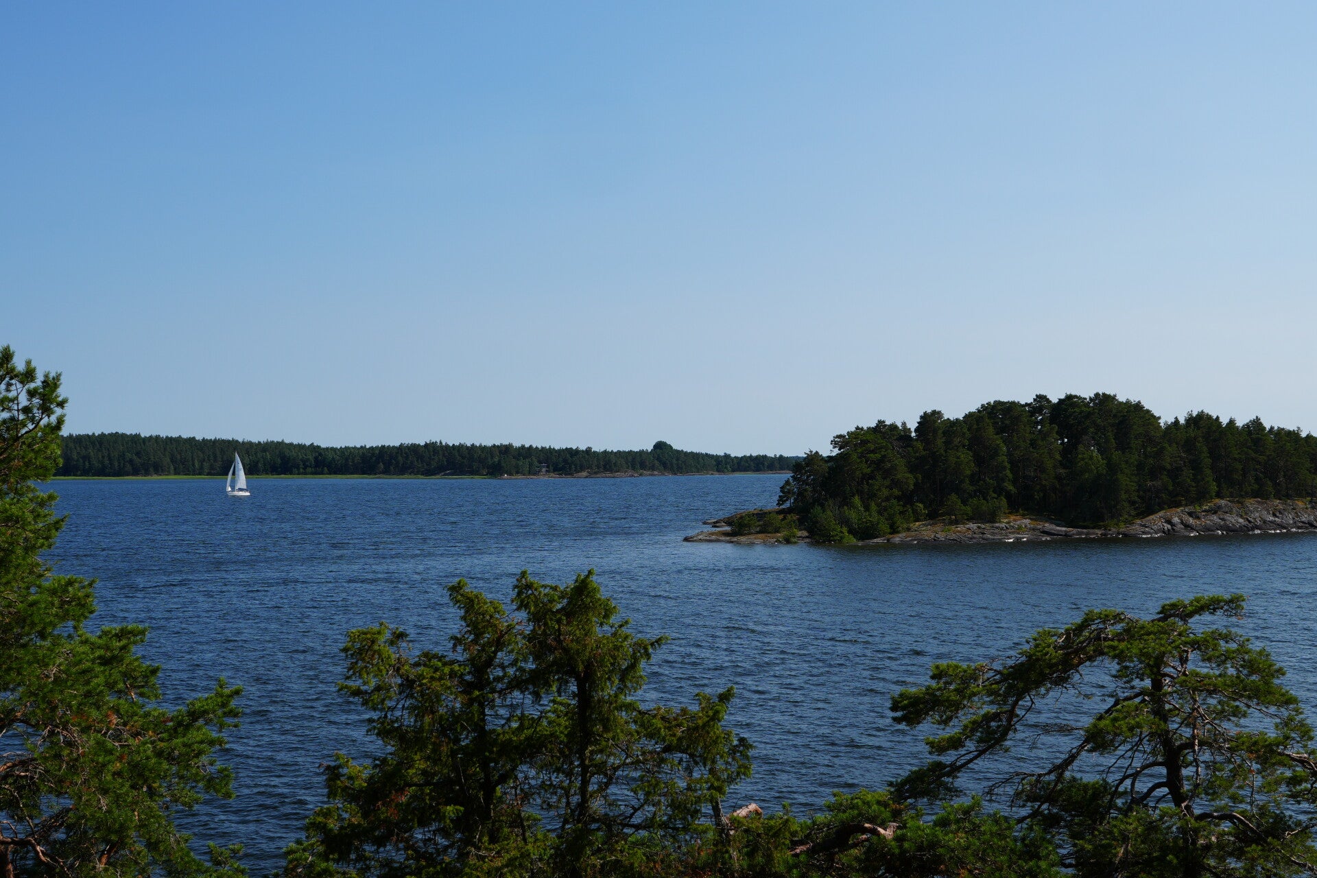 dsc01416-standard.jpg
