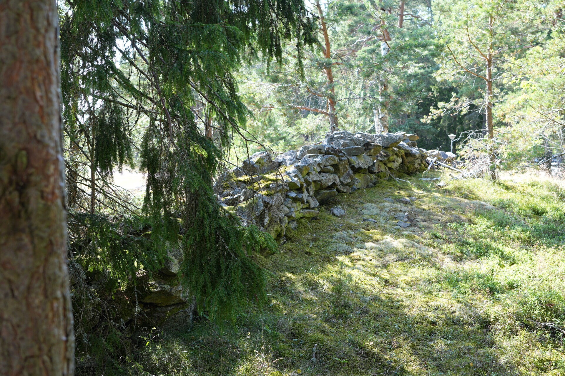dsc01417-standard-kxumzu.jpg