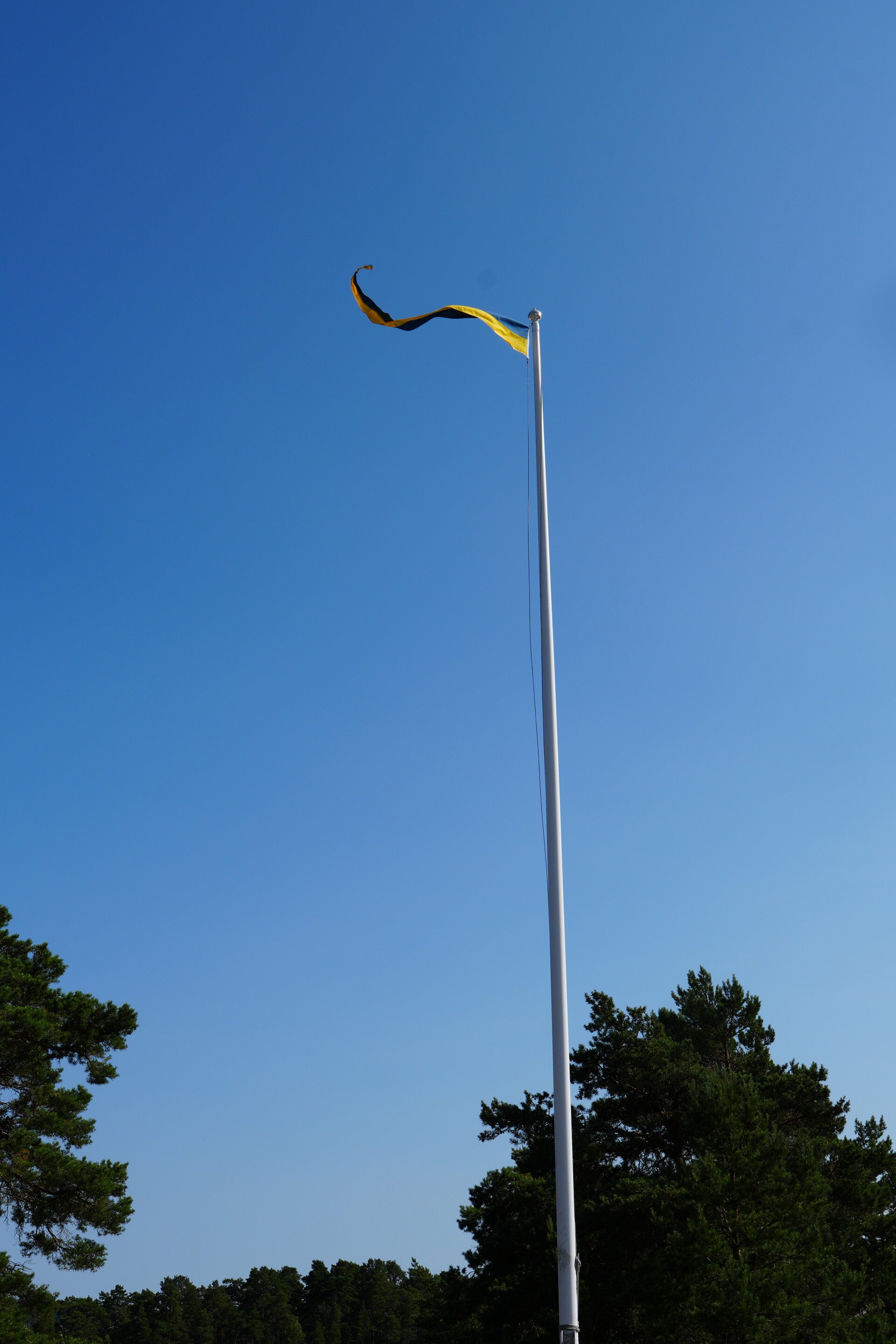 dsc01419-standard.jpg