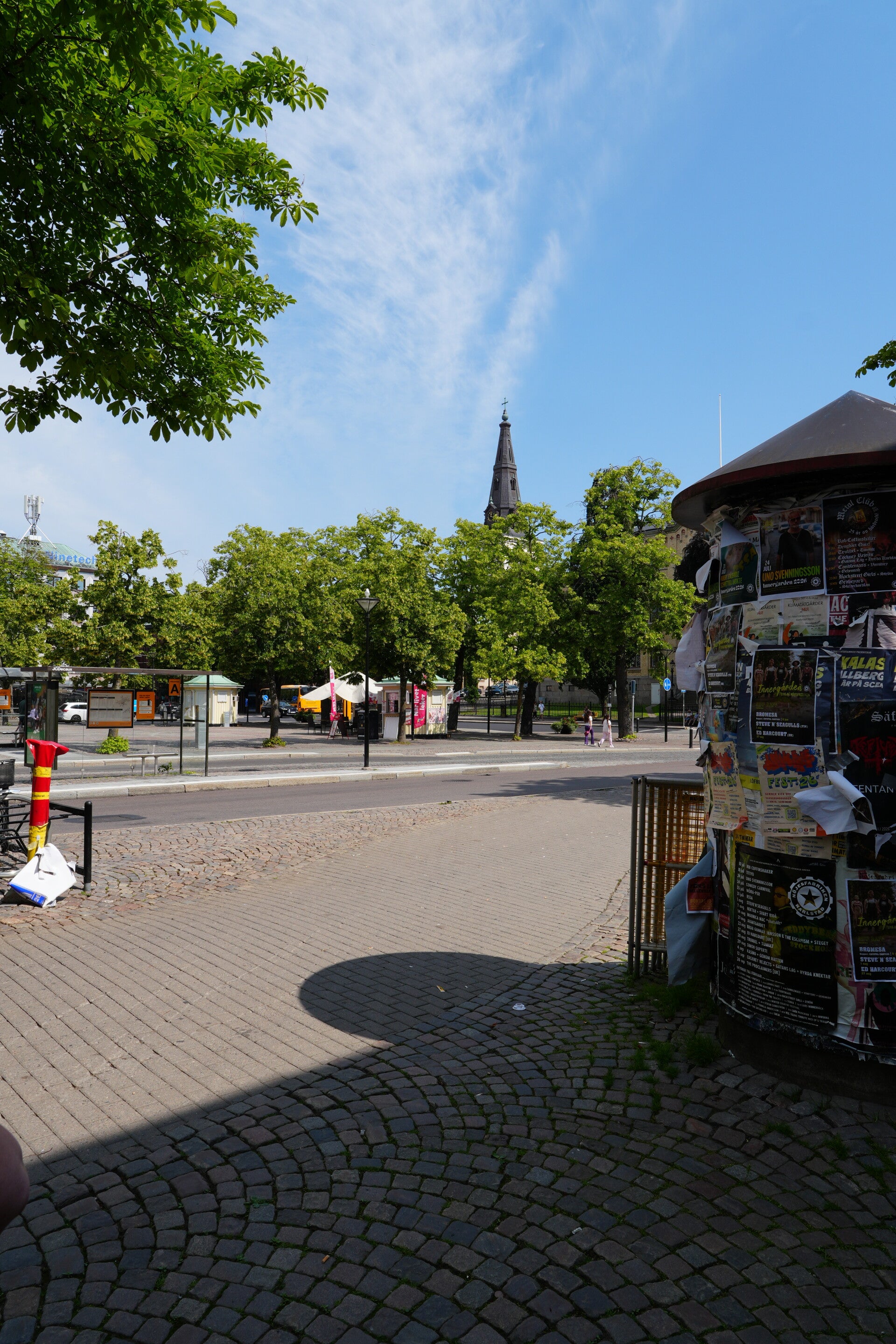 dsc01460-standard.jpg