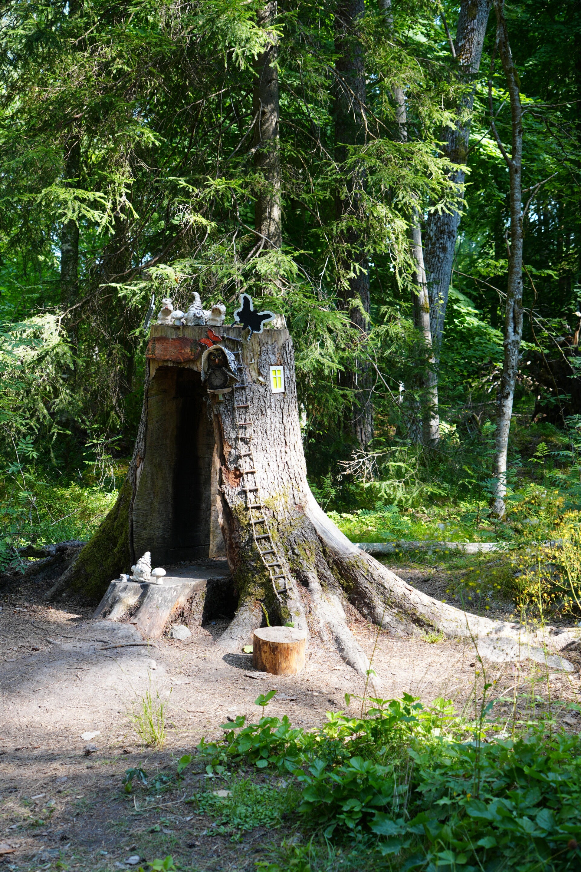 dsc01467-standard-ibwigh.jpg