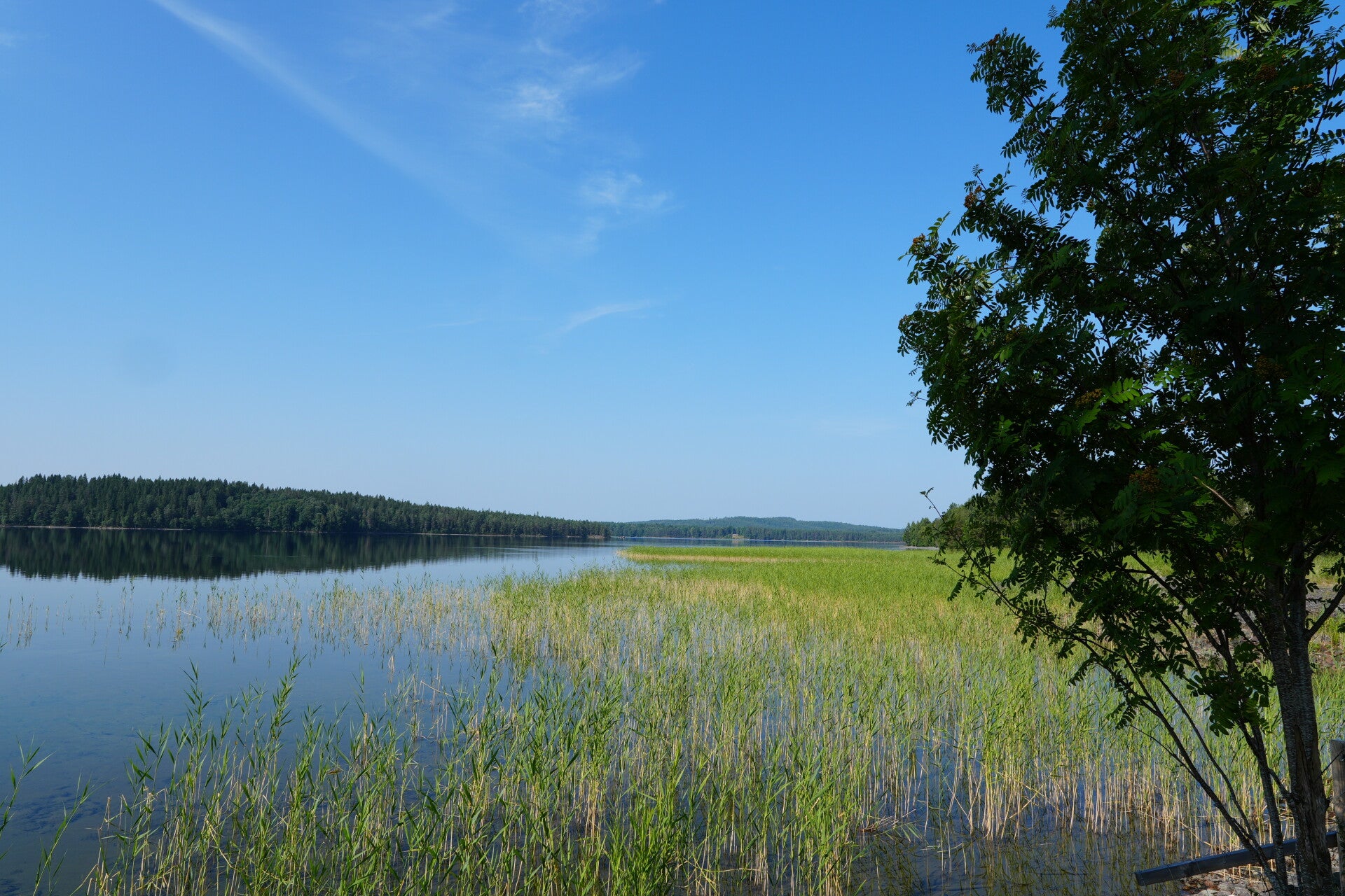 dsc01473-standard.jpg