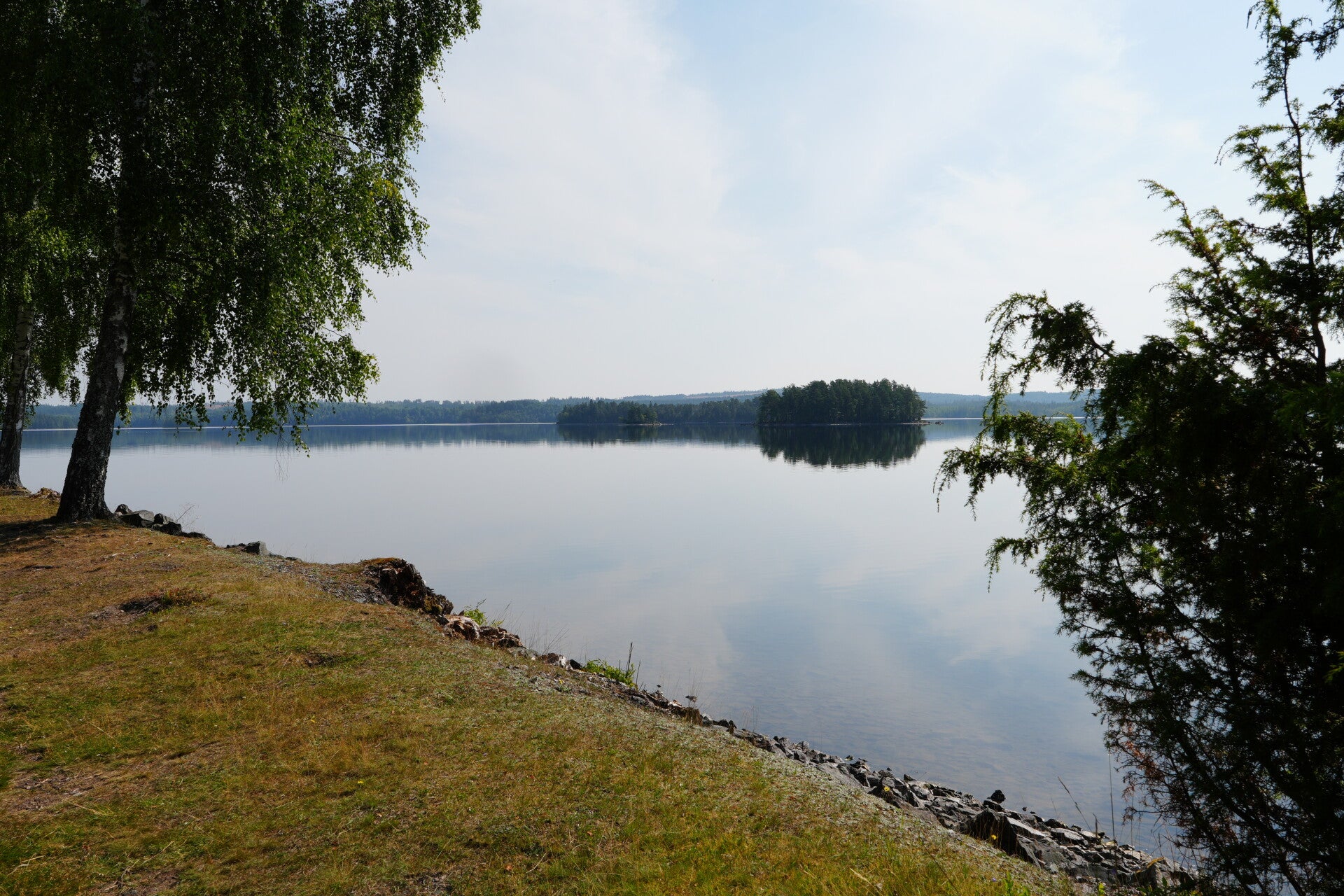 dsc01481-standard.jpg