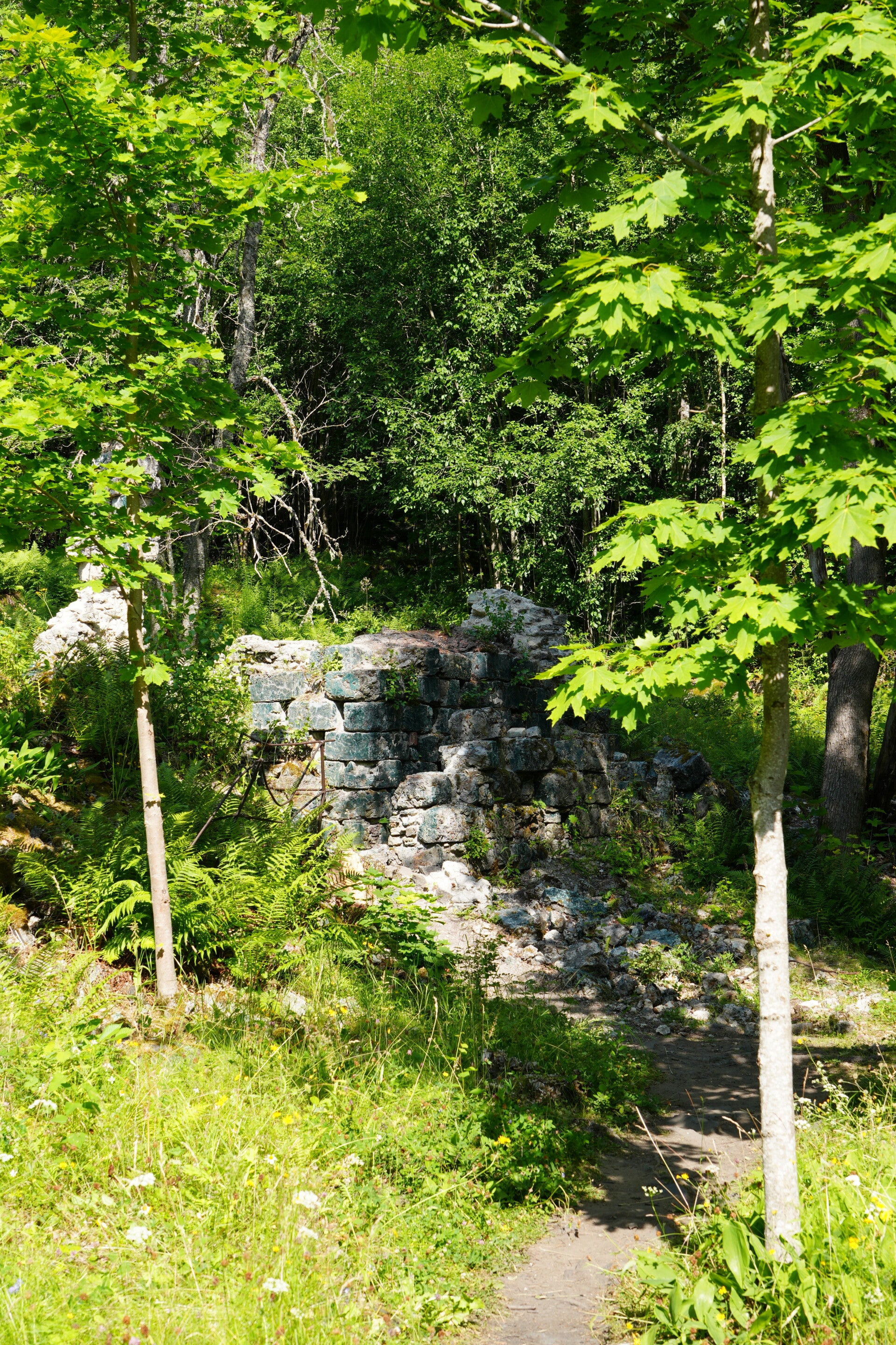 dsc01493-standard.jpg